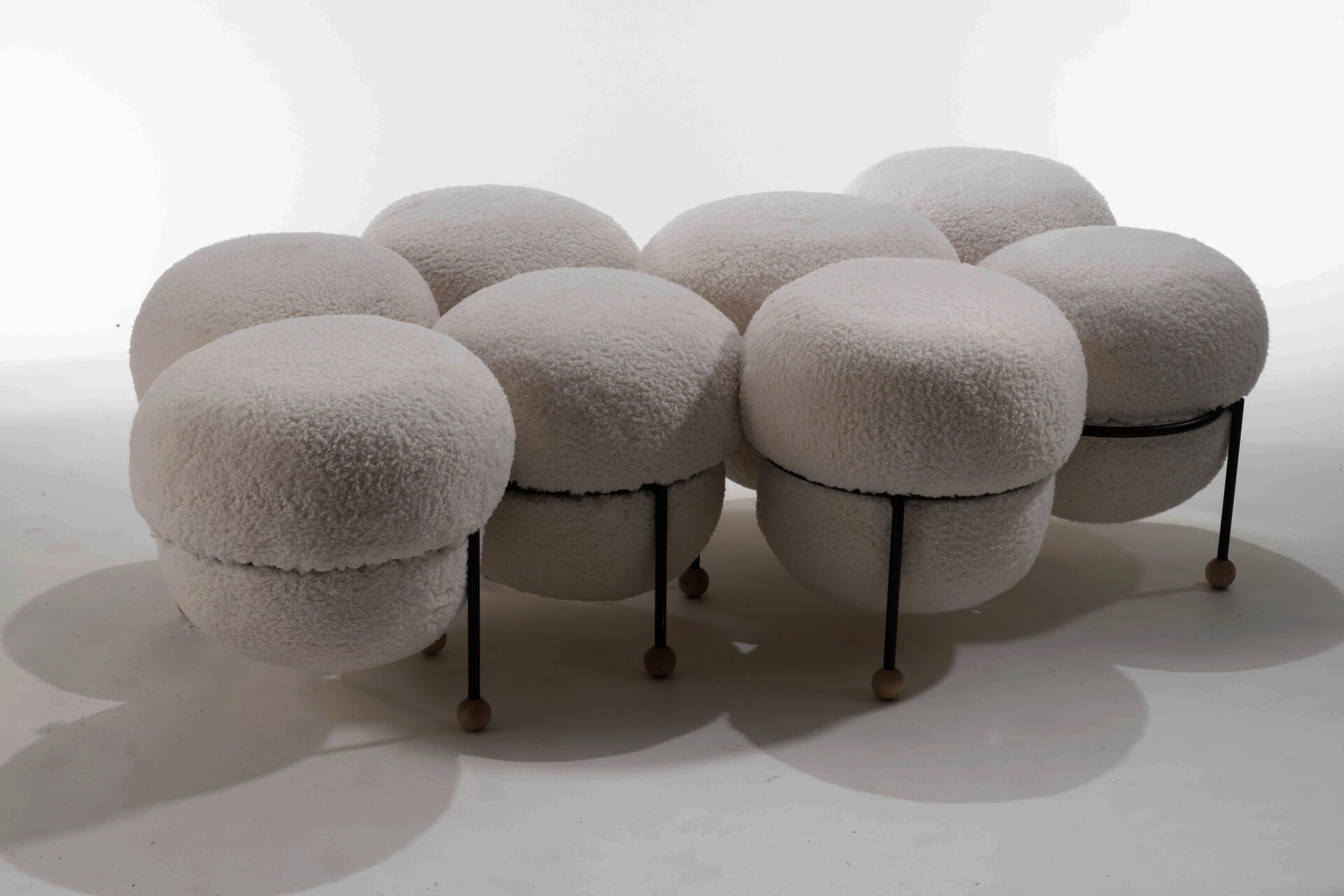 a flock of sheep