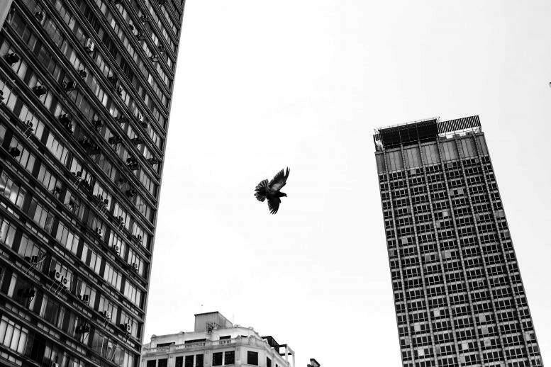 Photo:  Julio Nery