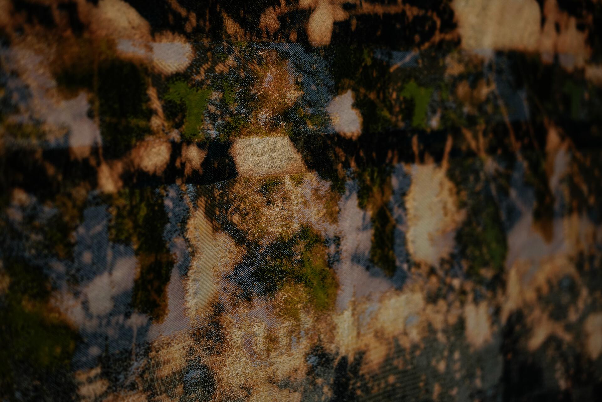 Evocation