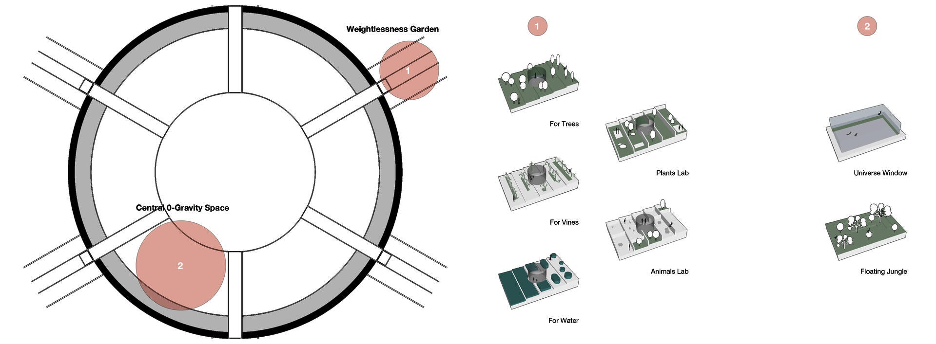 Transects and central area design forms
