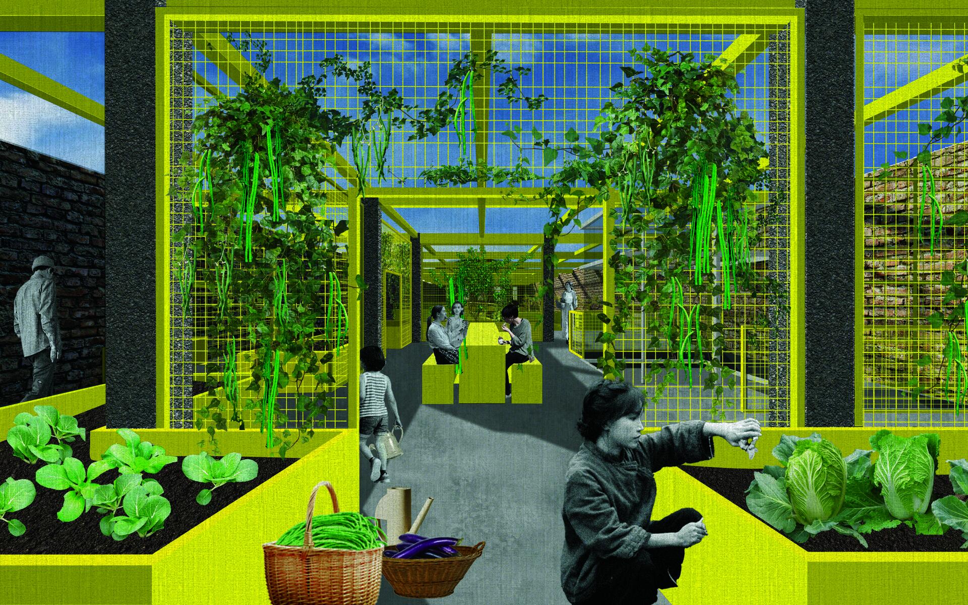 garden view