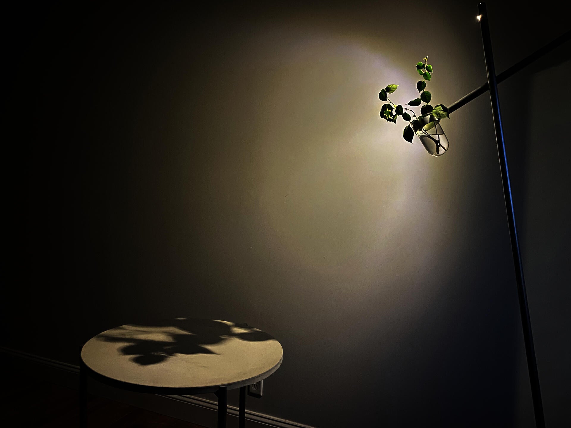 Night scene