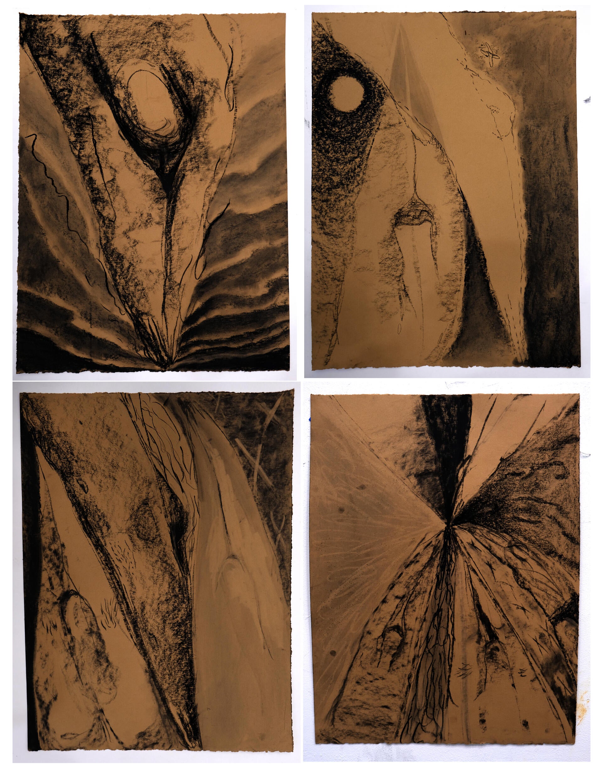 Photo of four charcoal drawings on tan paper that are iterated from the form of the diver