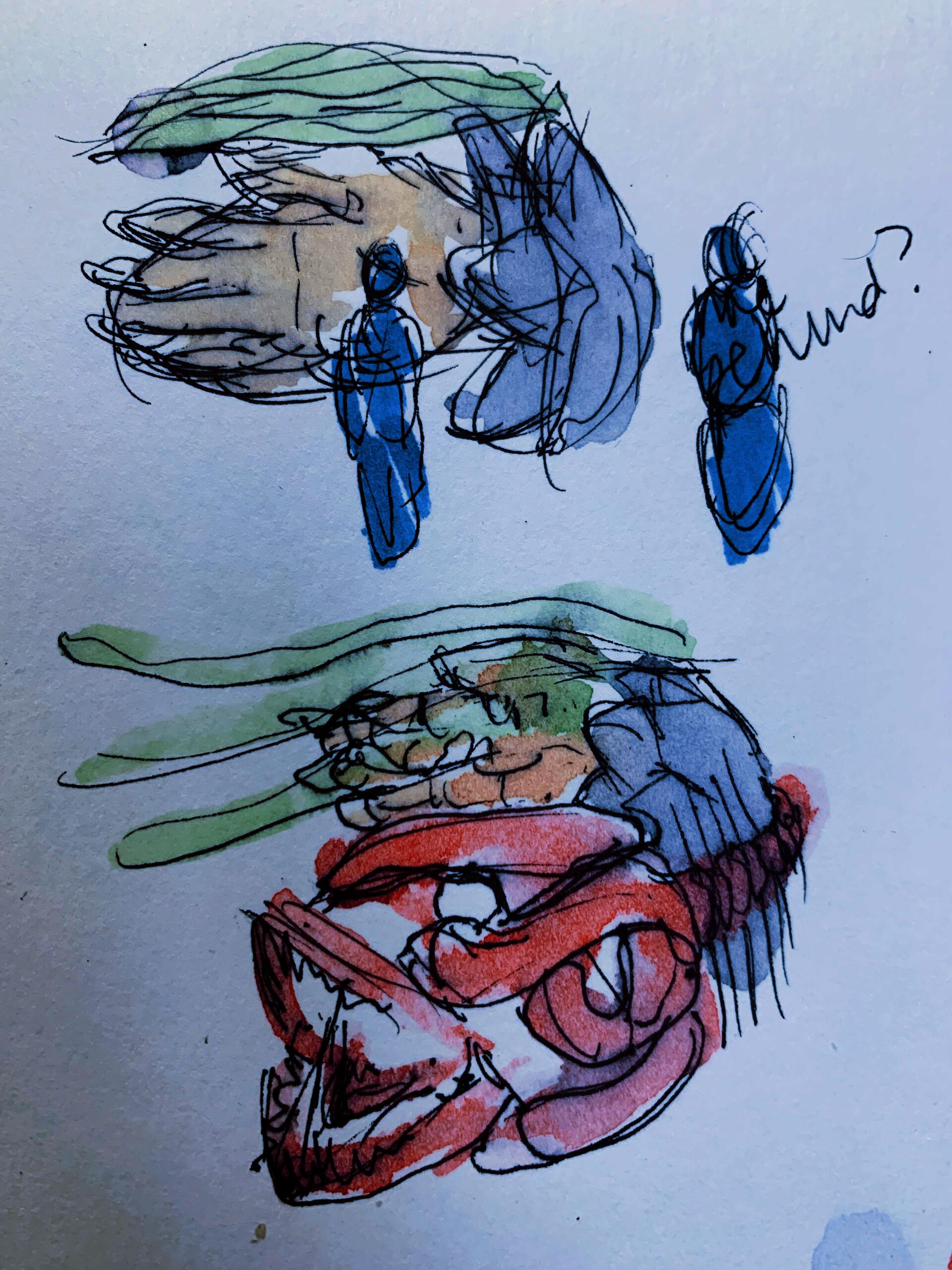Sketch of how blades of grass, hands, magnolia, and lingcod skull can be arranged into a floating grave - The Ephemeral Altar & The Floating Grave - Hannah Suzanna