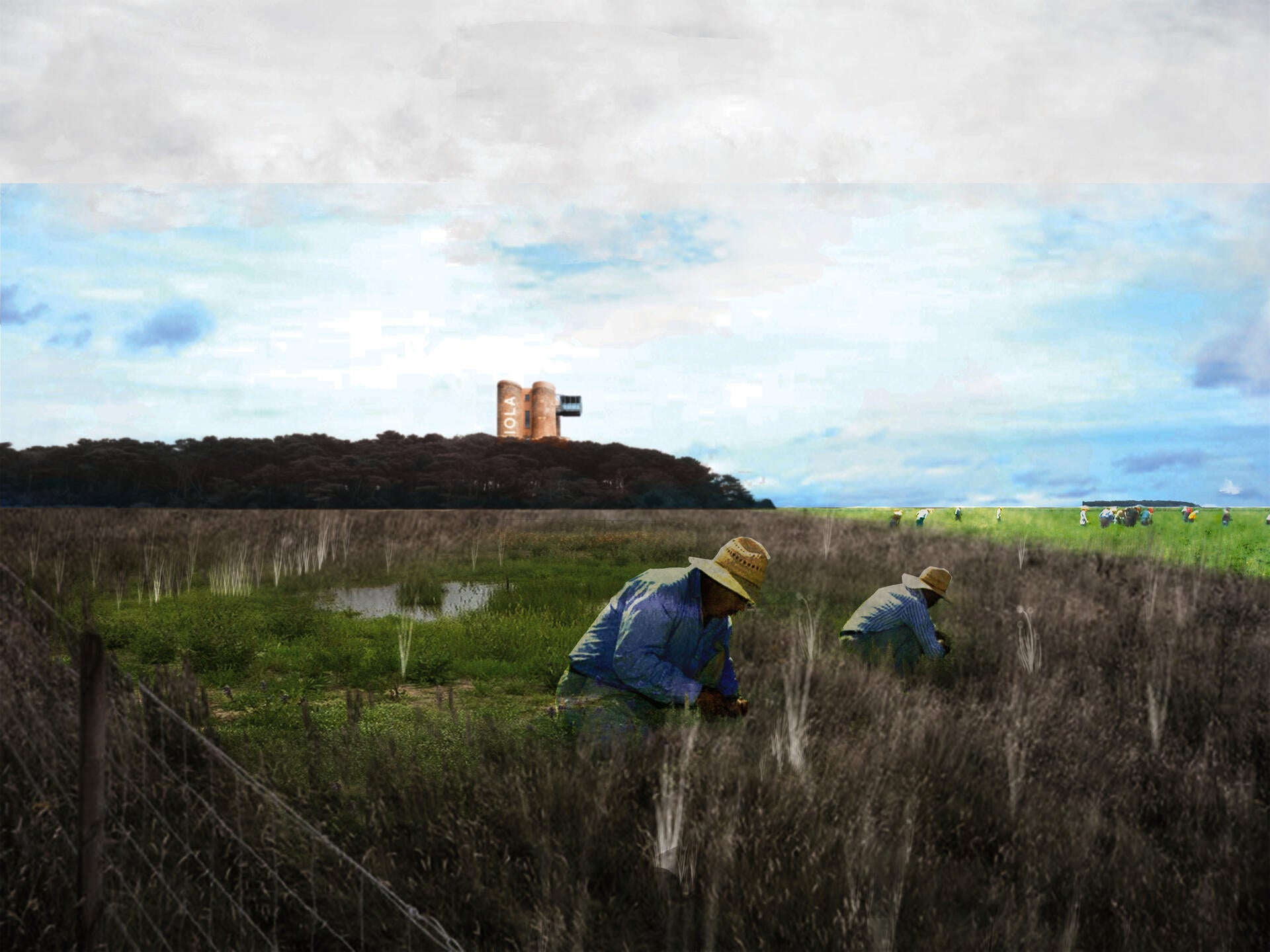 Rendering of workers in field