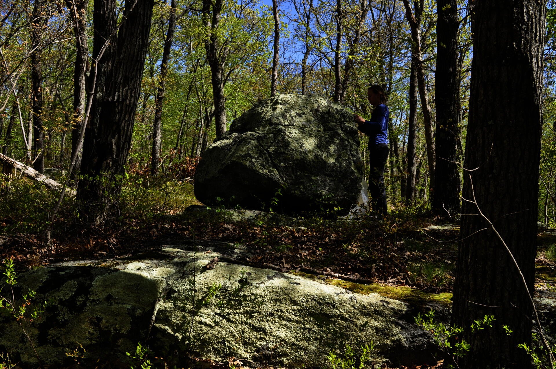 site at Lincoln Woods field work at boulder