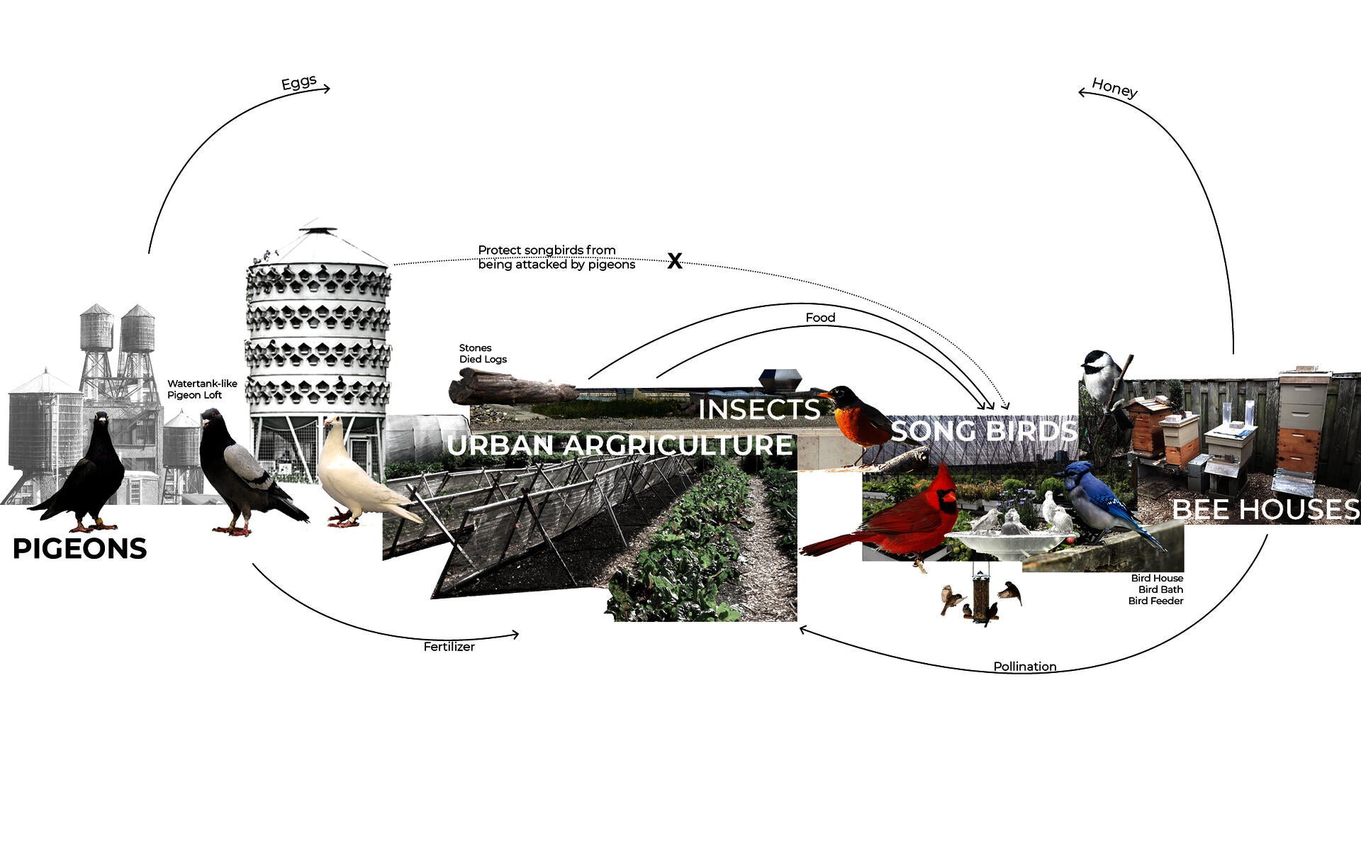 concept diagram