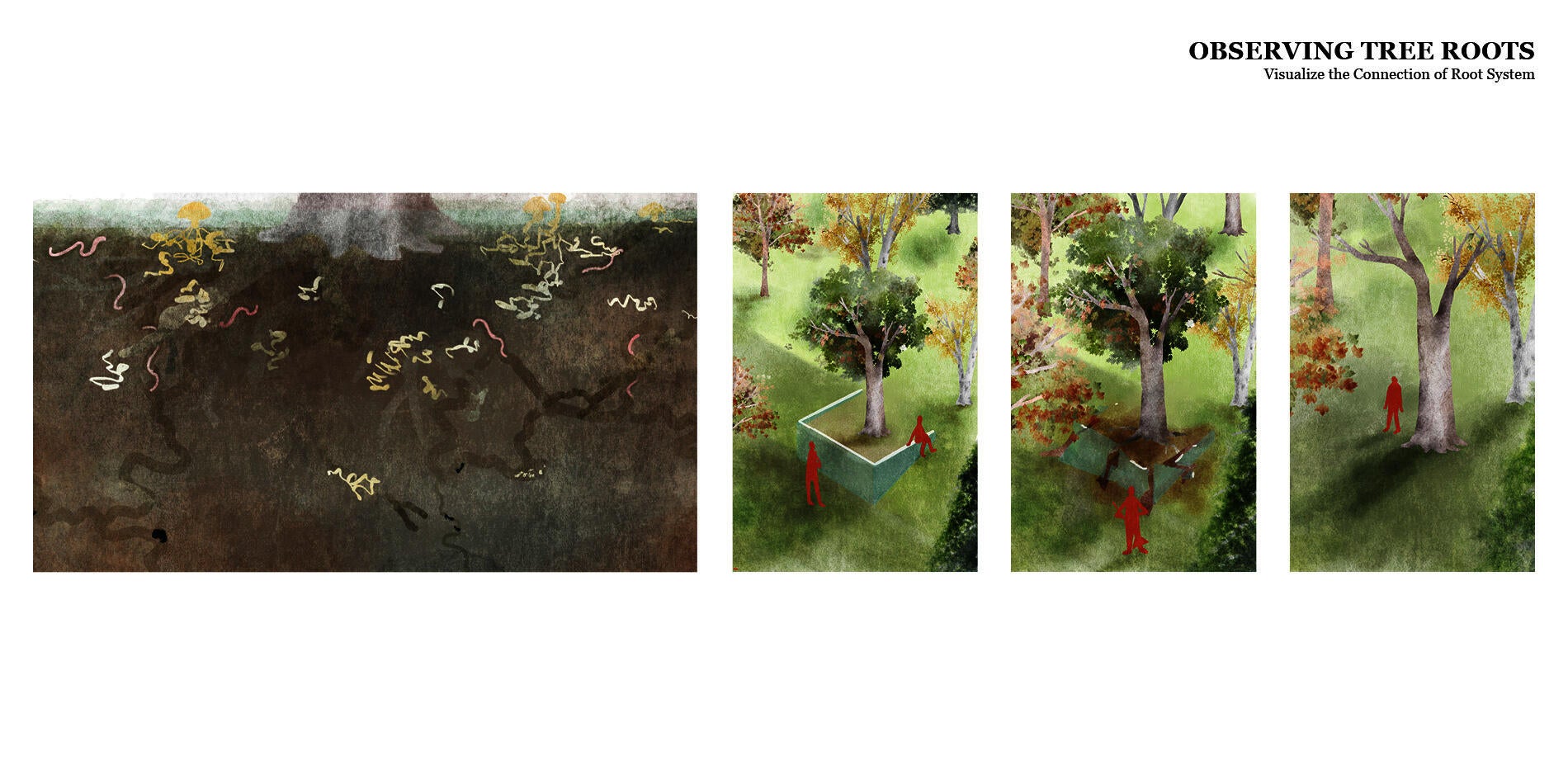 roots