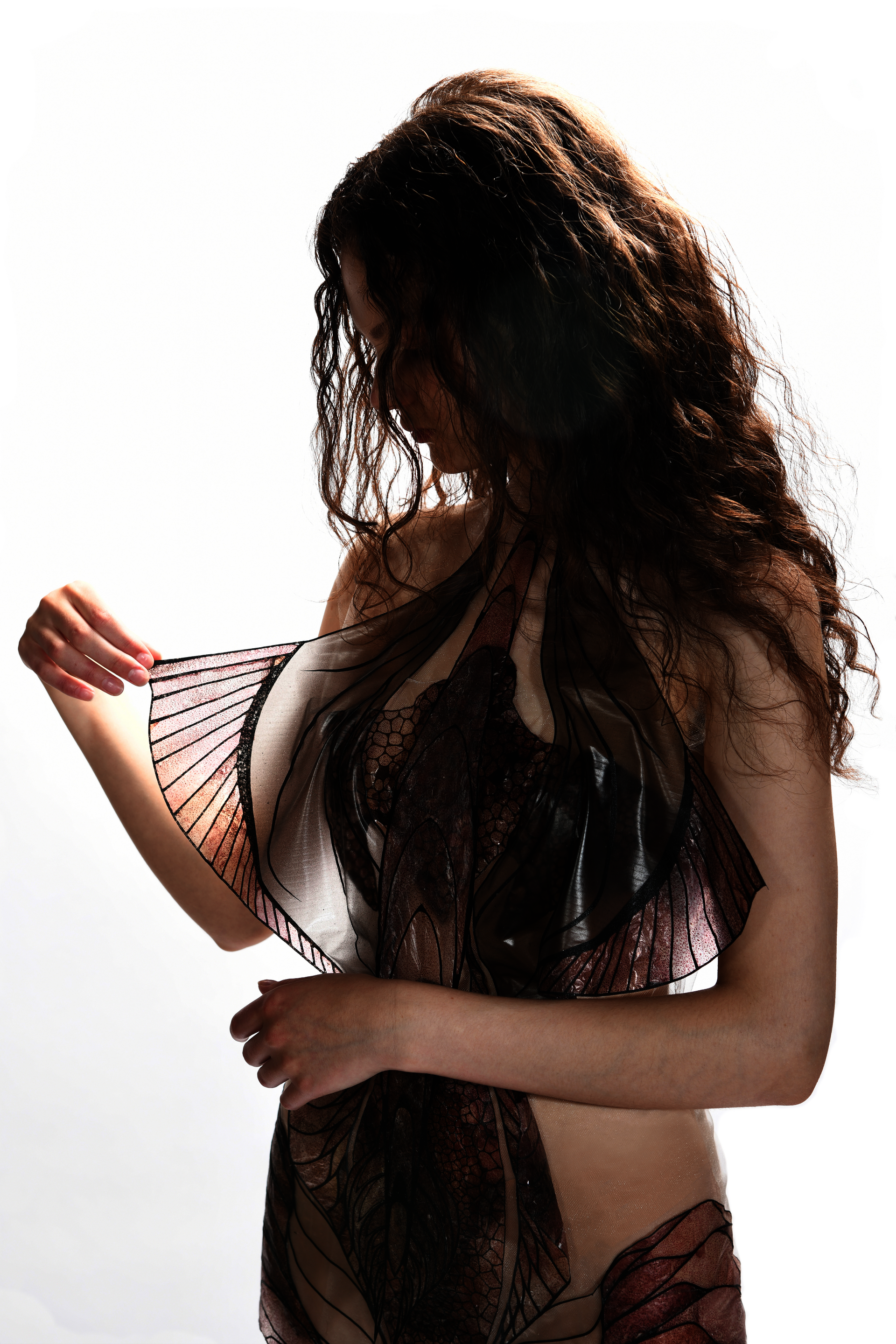 main visual