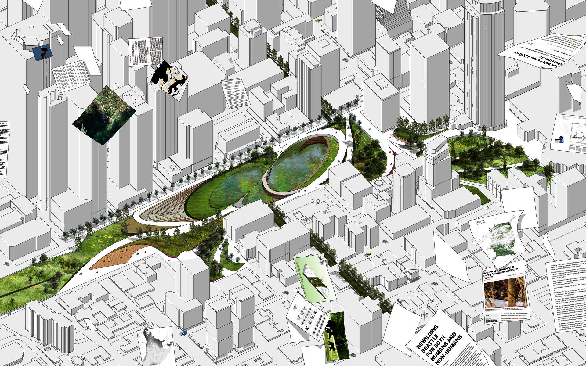 Through the whole green network, it connects and renovates relevant green spaces. The new freeway park shows how it functions as a central station for non-humans to connect different corridors.