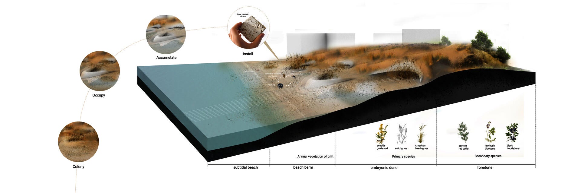 LDAR_Eyre_sand catchment