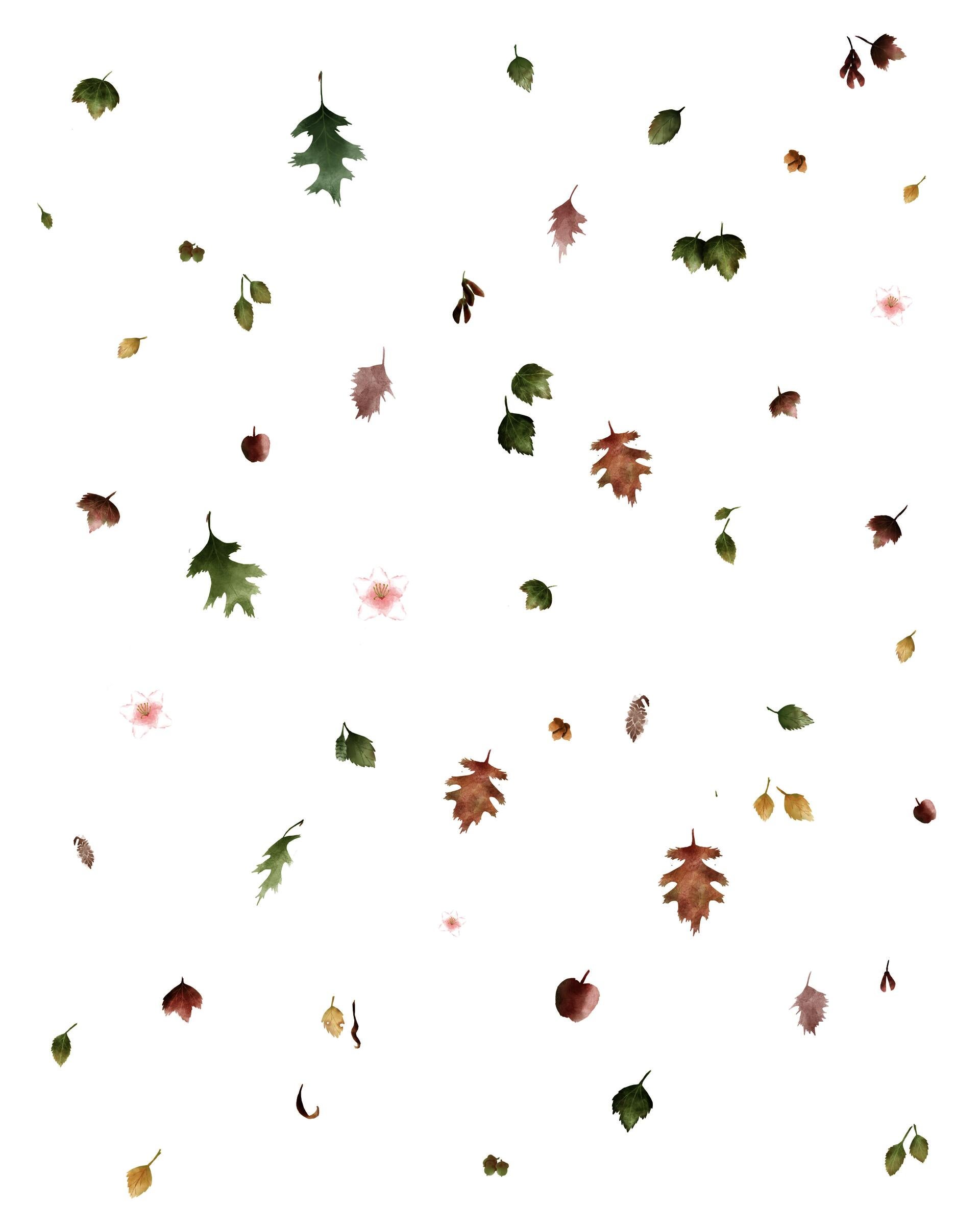 leaves