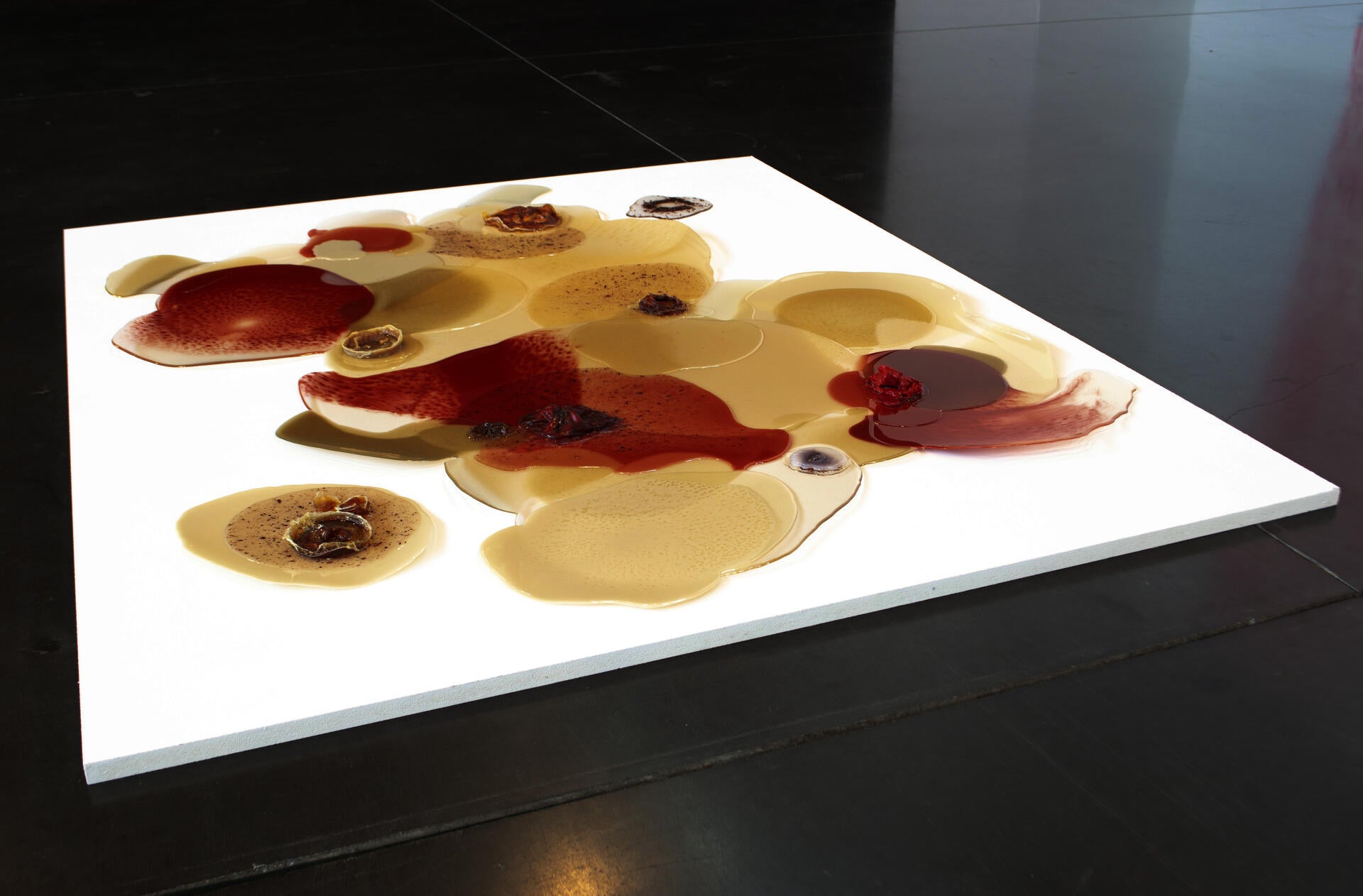 install view 