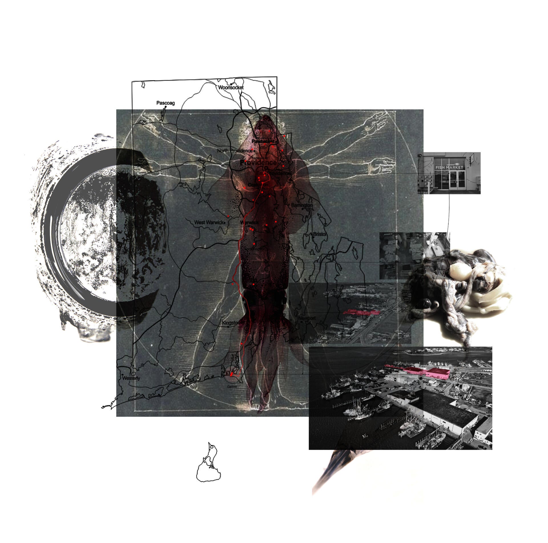 RI narrative
