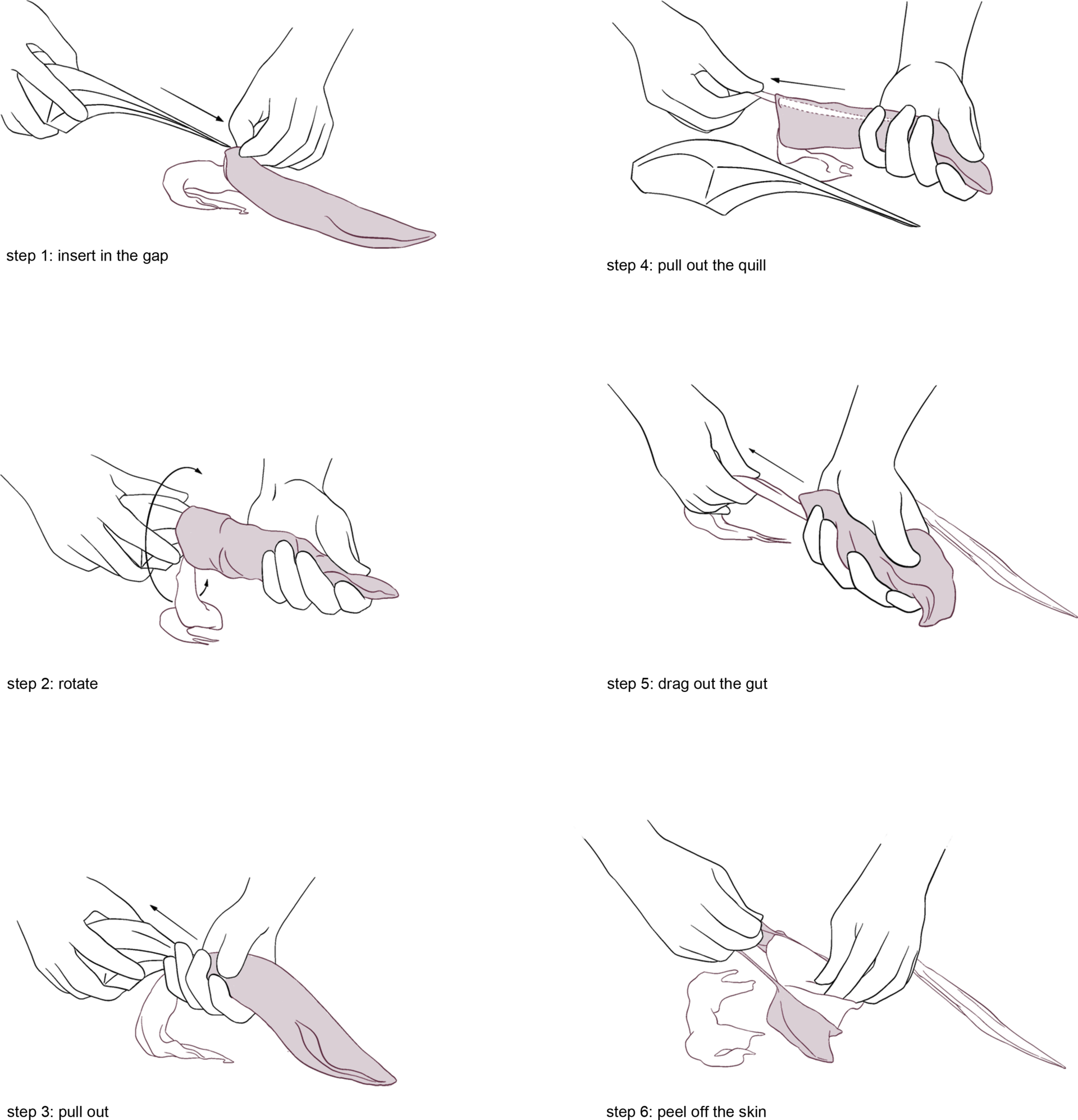 asa