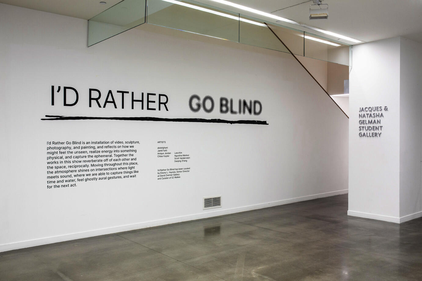 photo of wall vinyl showing exhibition title (I'd Rather Go Blind) and curatorial essay