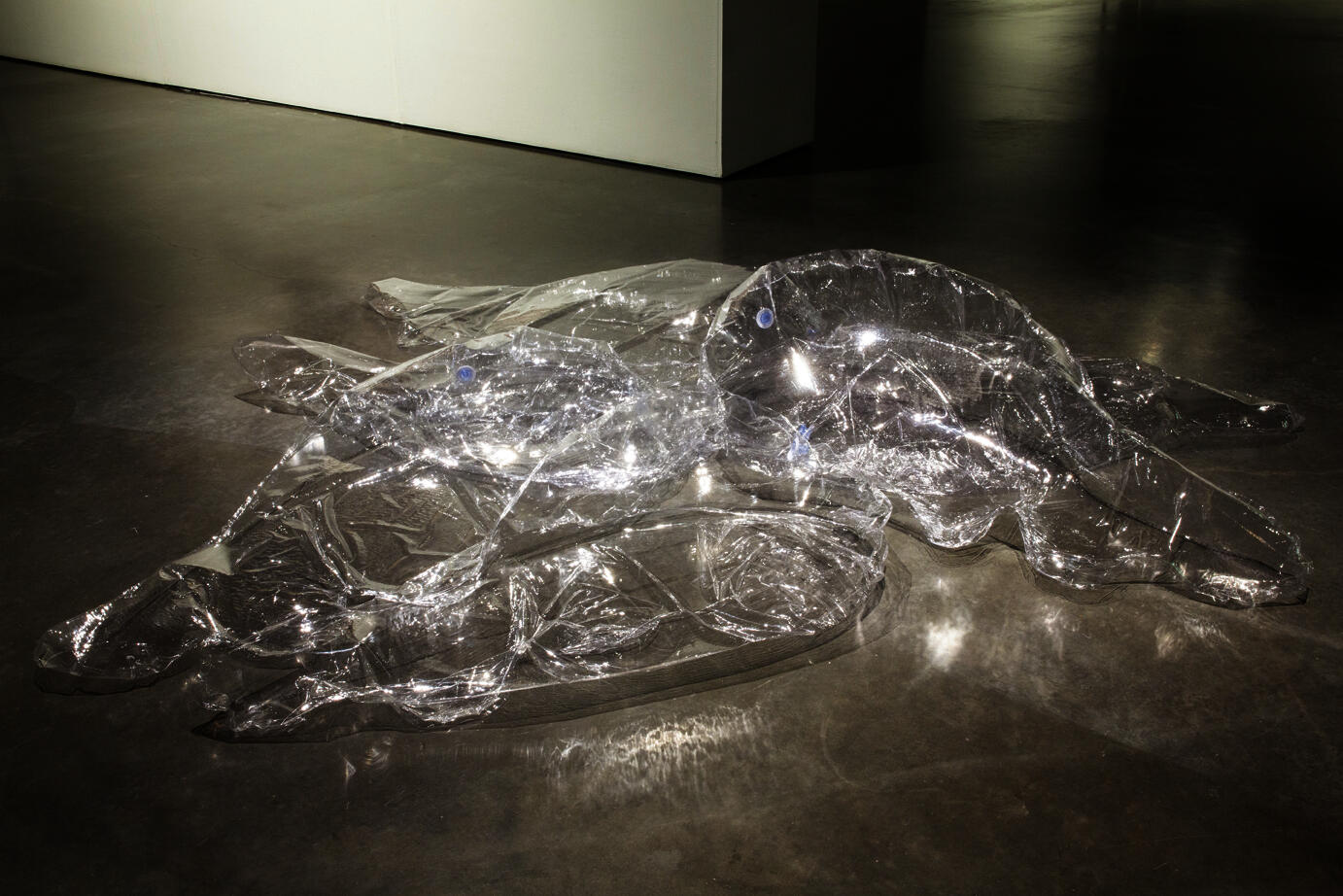 clear plastic inflated object sits on a concrete gallery floor