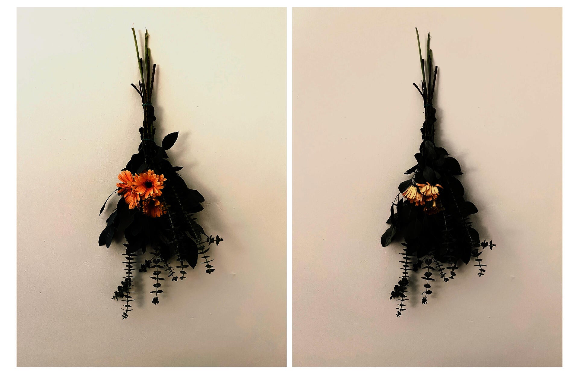 two images of flowers taken at the beginning /end of the day