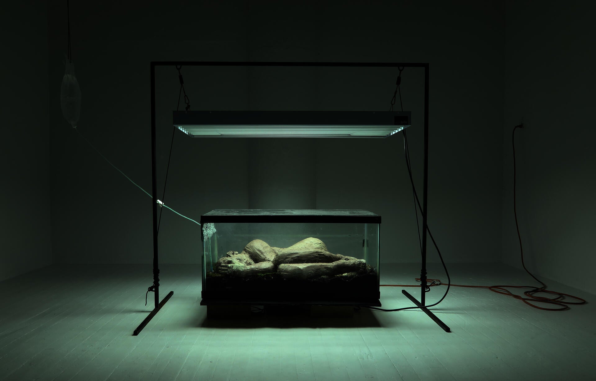 A raw clay figure lays inside a large tank filled with soil, plants and organisms while connected to an IV Bag and illuminated by a UV Light