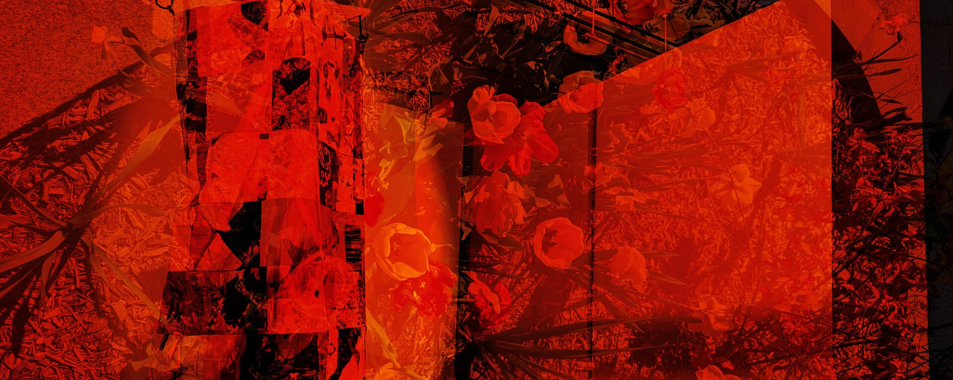 A quilt, Oak of Ash, is hanging from the ceiling in a cylinder and is flushed with warm light. Overlaid is an image of flowers in spring time. Their yellows, reds, and oranges mingle with the warm tones of the light on the quilt.
