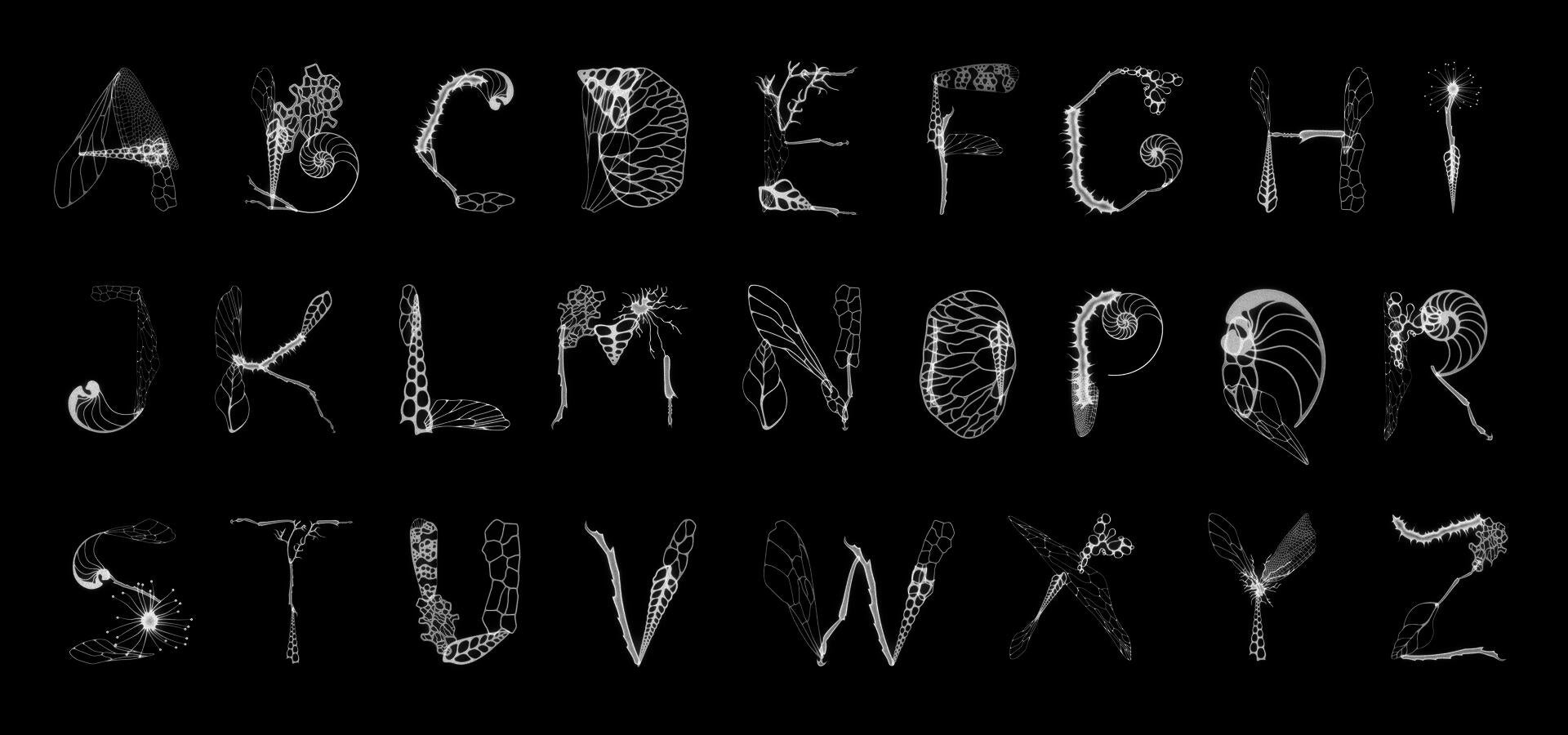 Typeface design inspired by the natural world