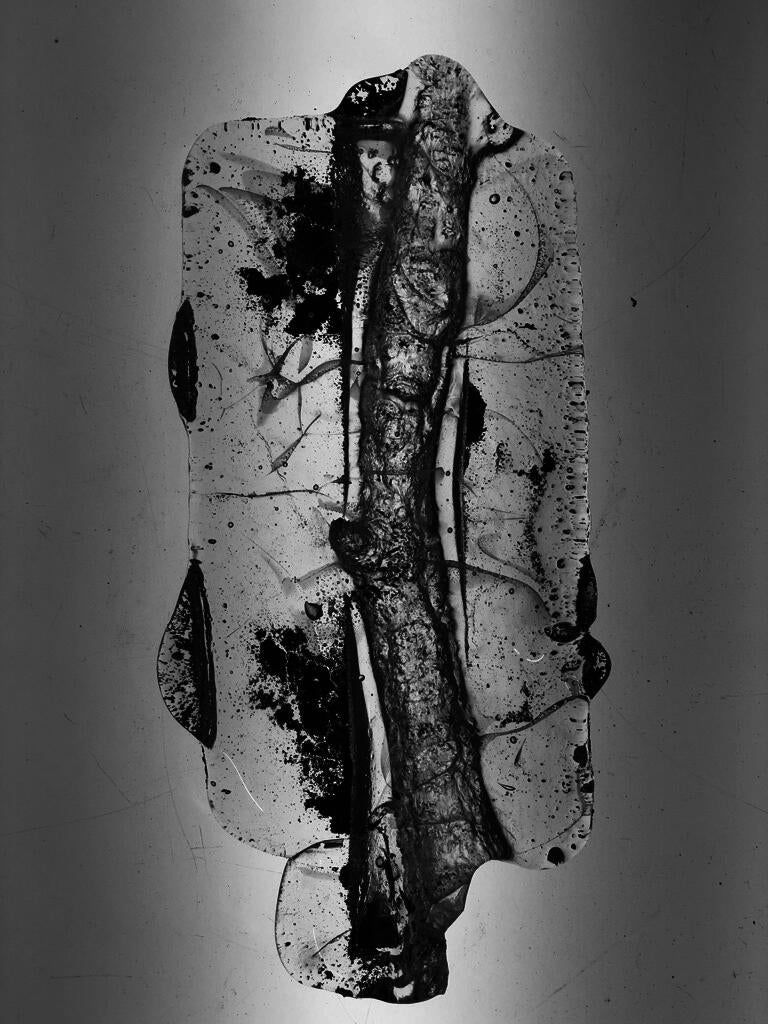 Branch cast as glass negative.