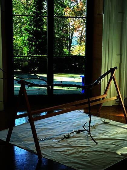Tree branch coated in glass shell; seated on sawhorses.
