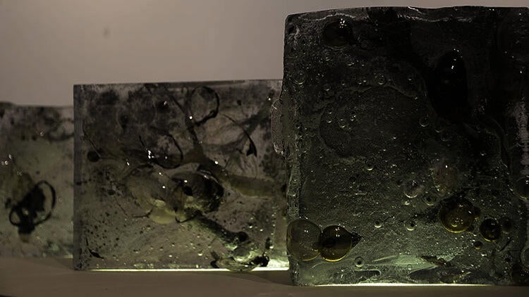 Clear cast-glass “books” that contains transparent imprints of needles, pinecones, and branches of different types of trees.