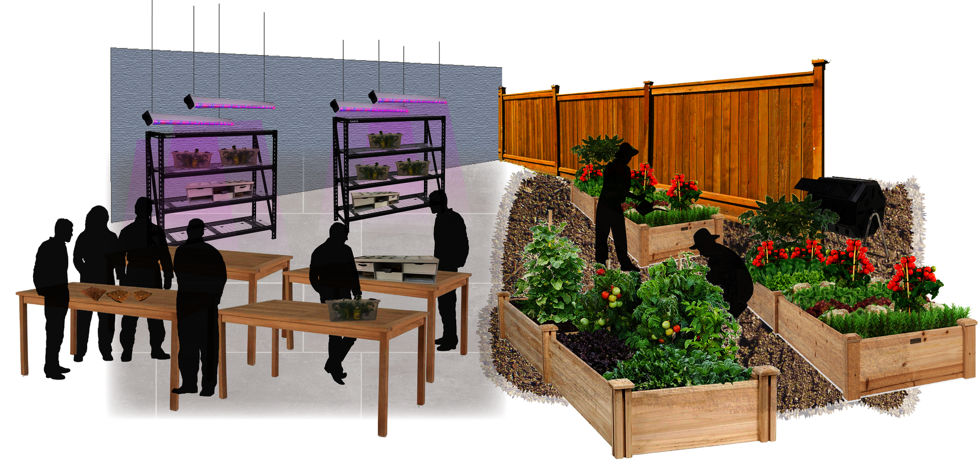 Collage image of providence winter gardening program highlighting three areas of focus: introduction, crop planning, seed germinating
