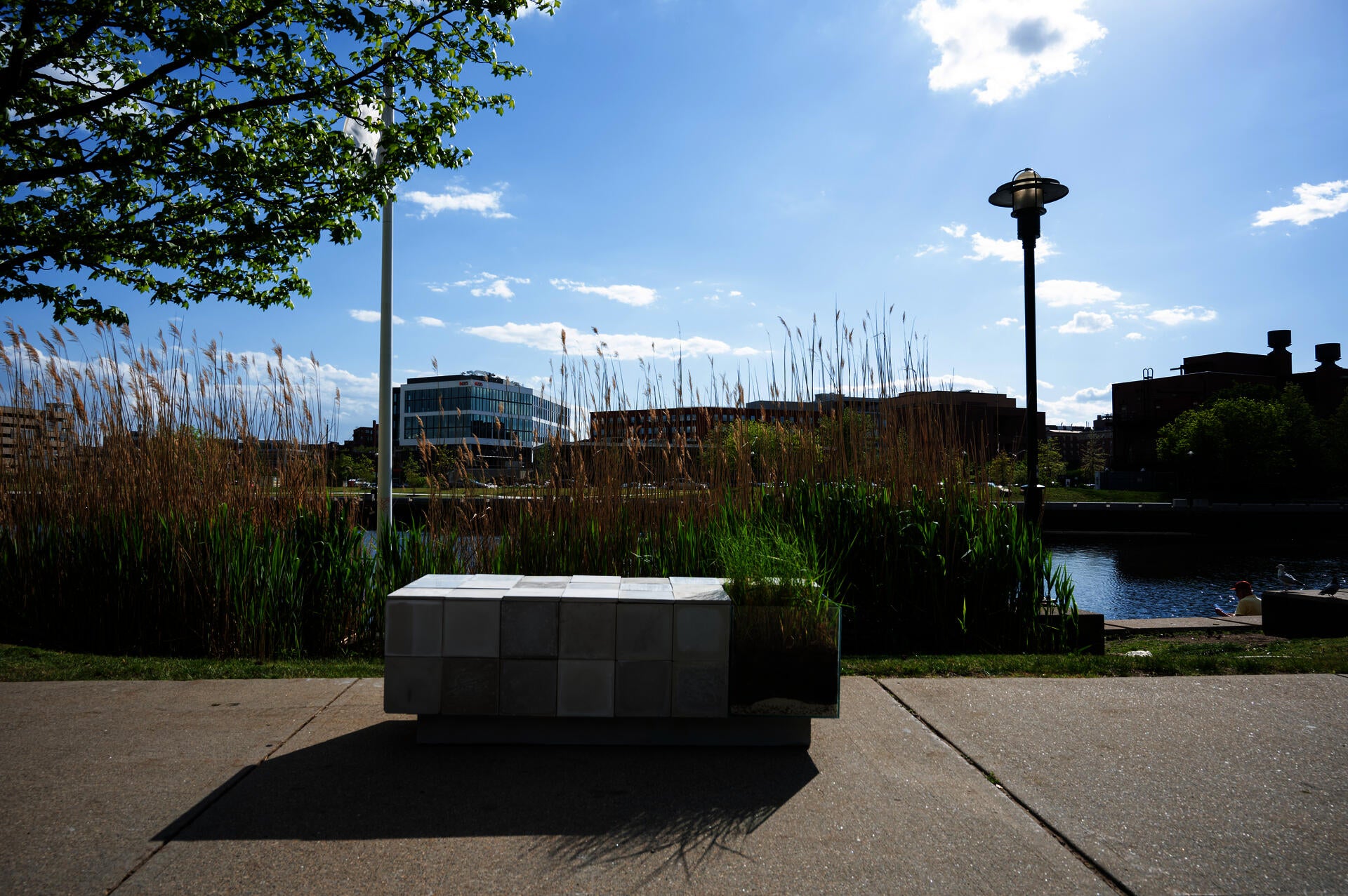 The concrete tiles are symbolic of extractive interactions, layered atop the stratigraphic representation of a salt marsh