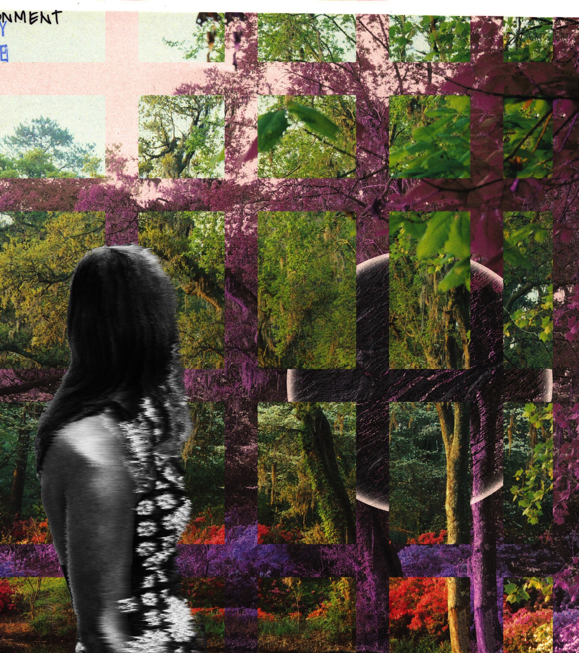Woman looks across a plane of multiple textures, an image of a wooded area is offset in