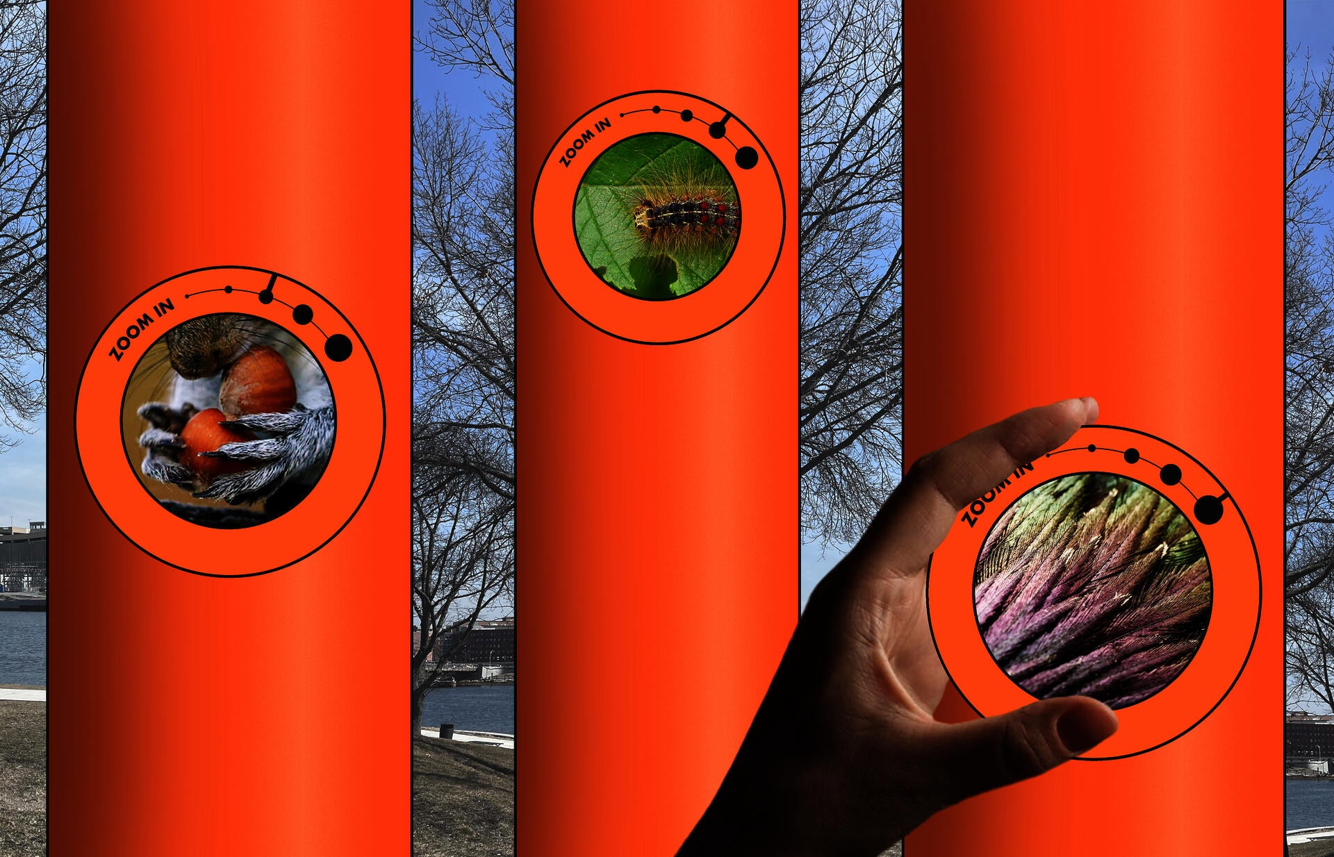 close up drawing of three periscope viewing devices showing zoomed-in views of a squirrel, caterpillar, and starling feathers.