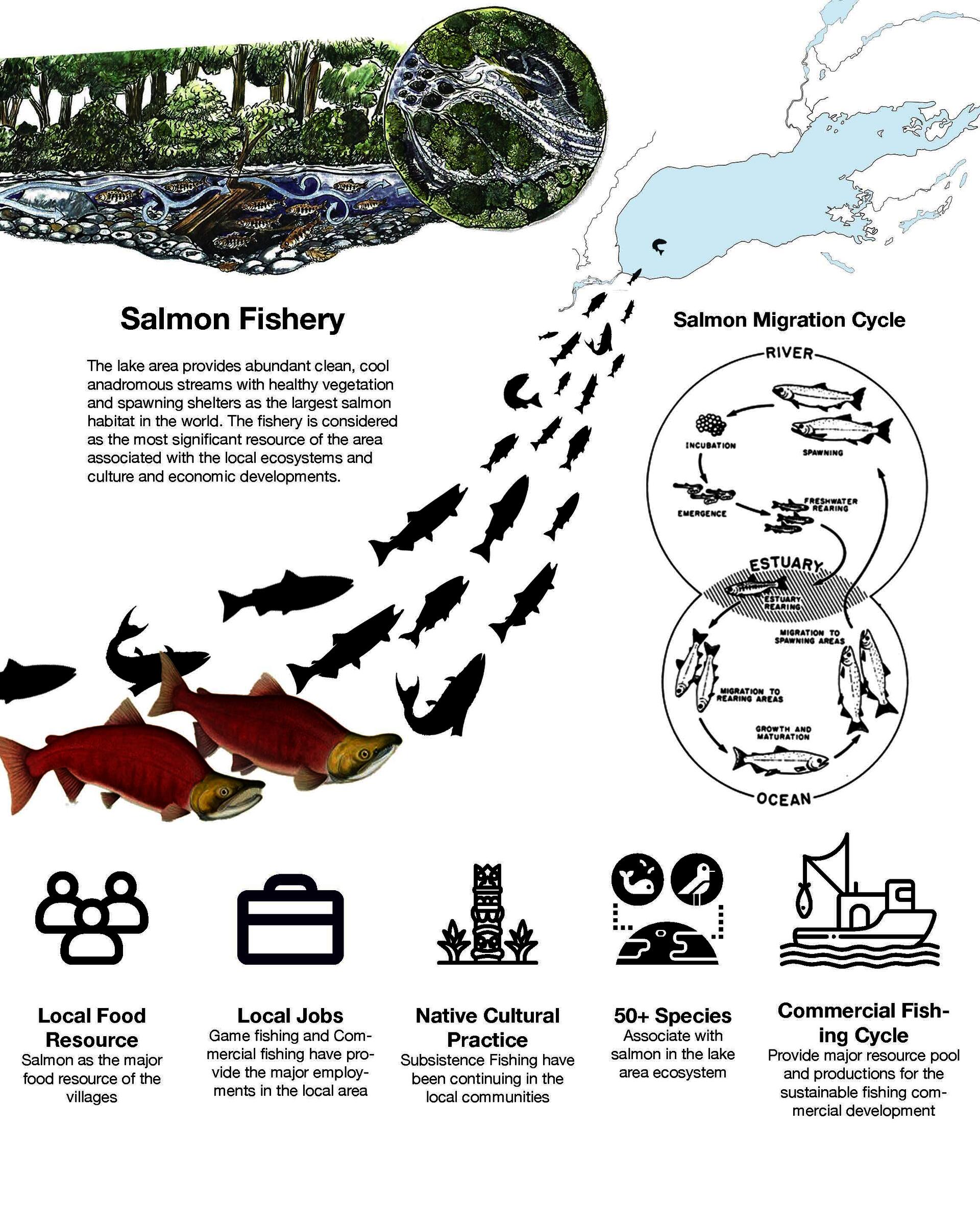 Salmon related diagrams