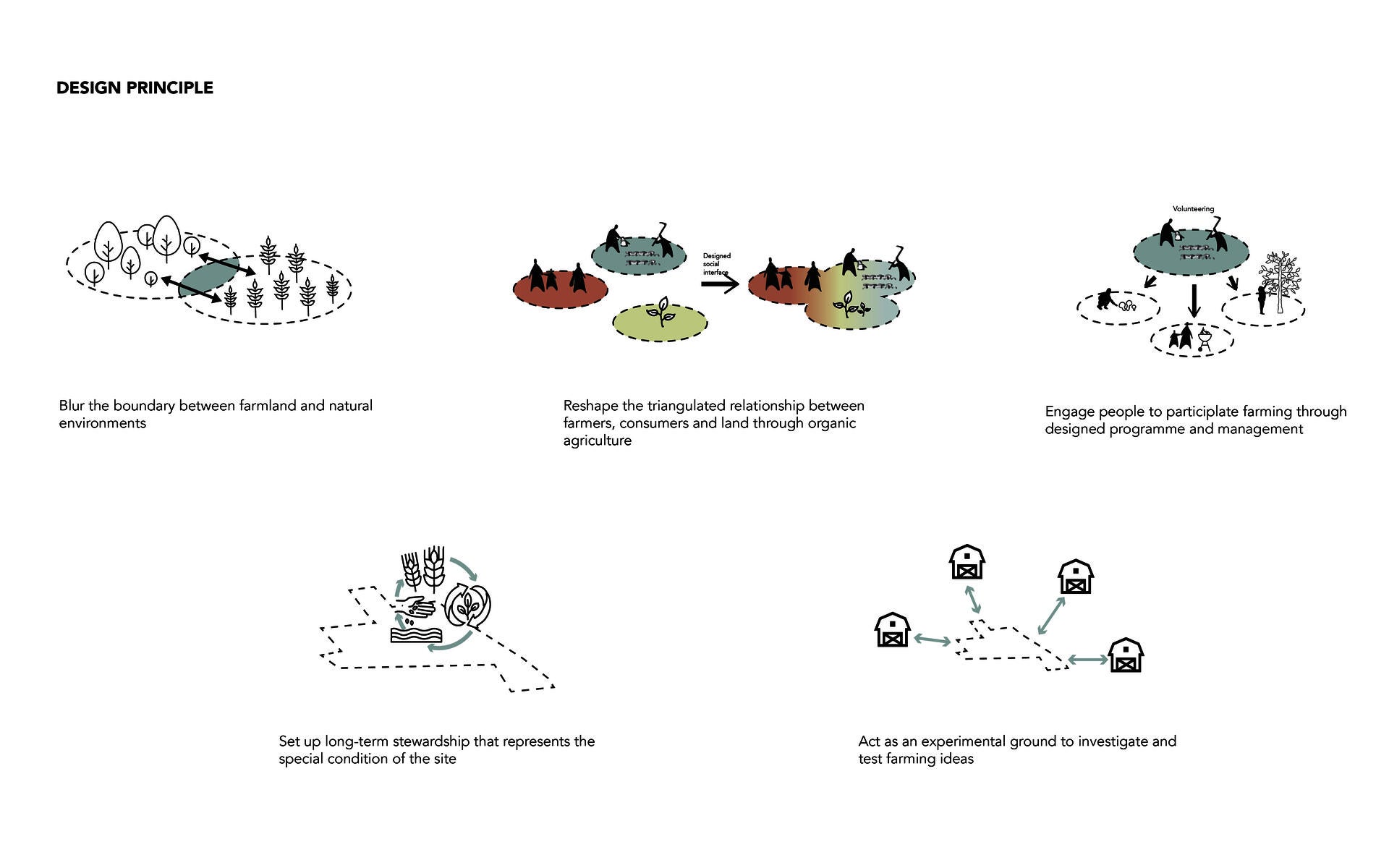 Five design principles to set guidelines for the site design.