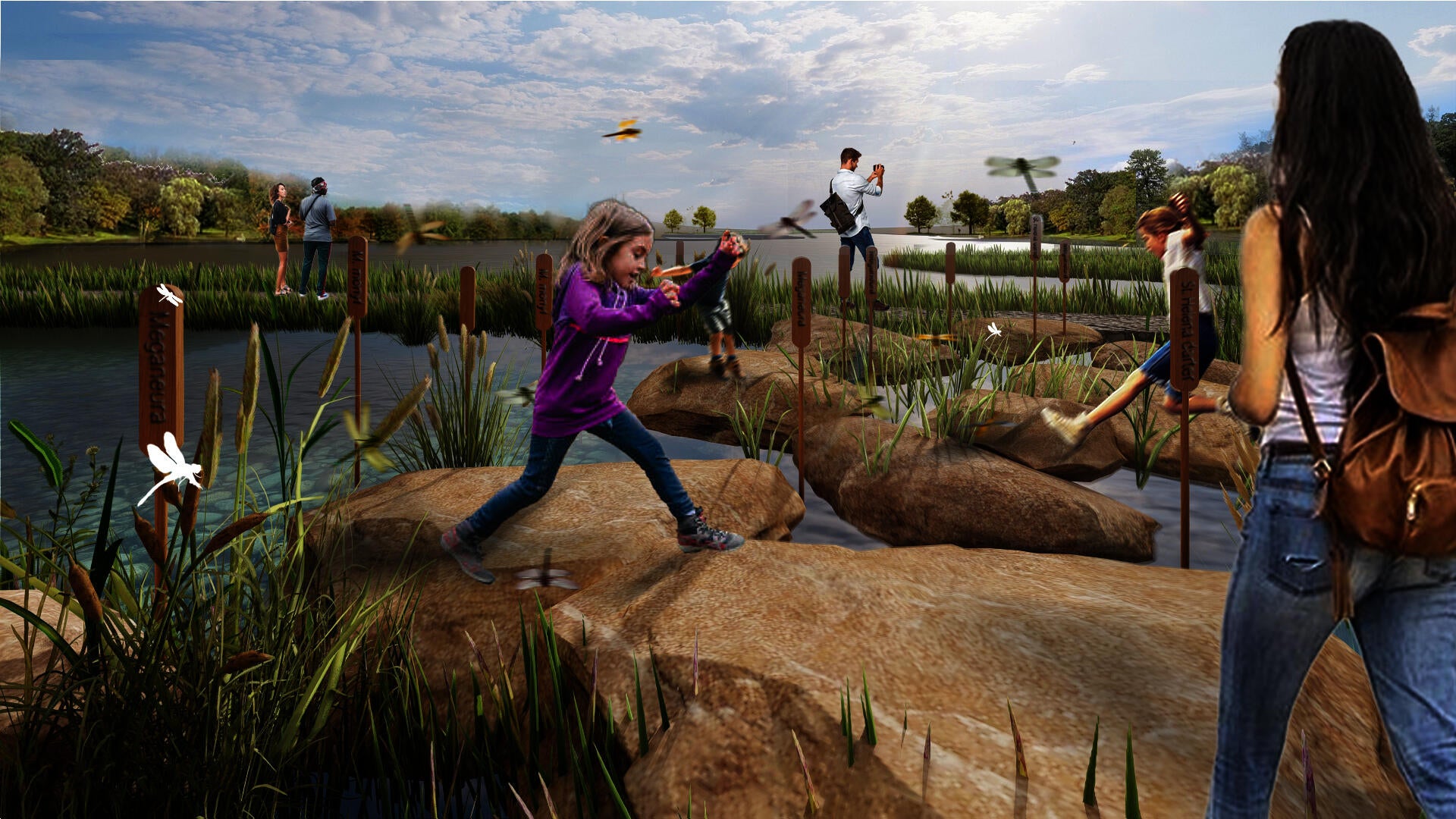 When people step on the rock berm, they can closely connect with dragonfly habitats.