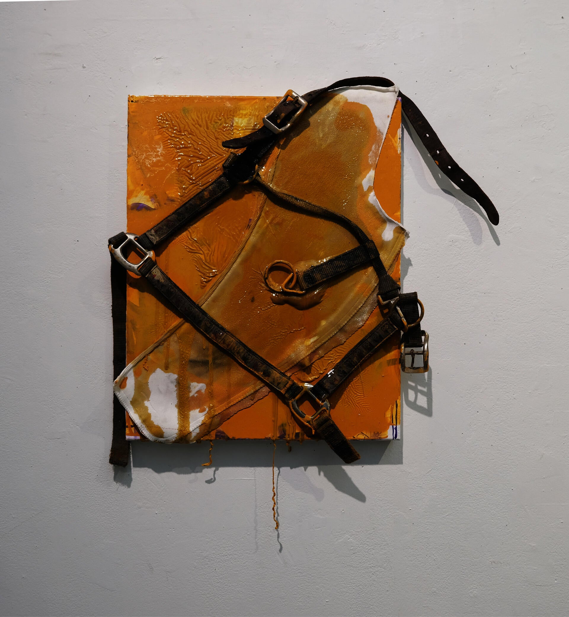 A small orange canvas with a halter and suede chap stuck on it.