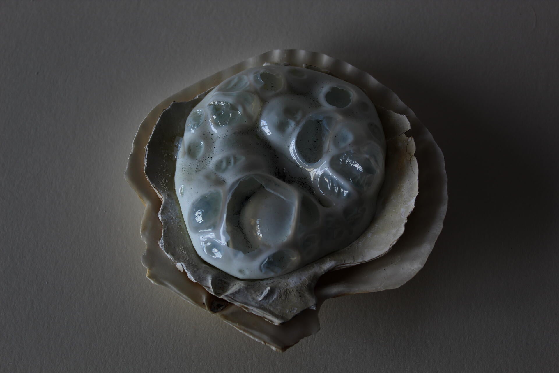 A scallop shaped shell holds another scallop shaped shell with bubbling white glass in it.