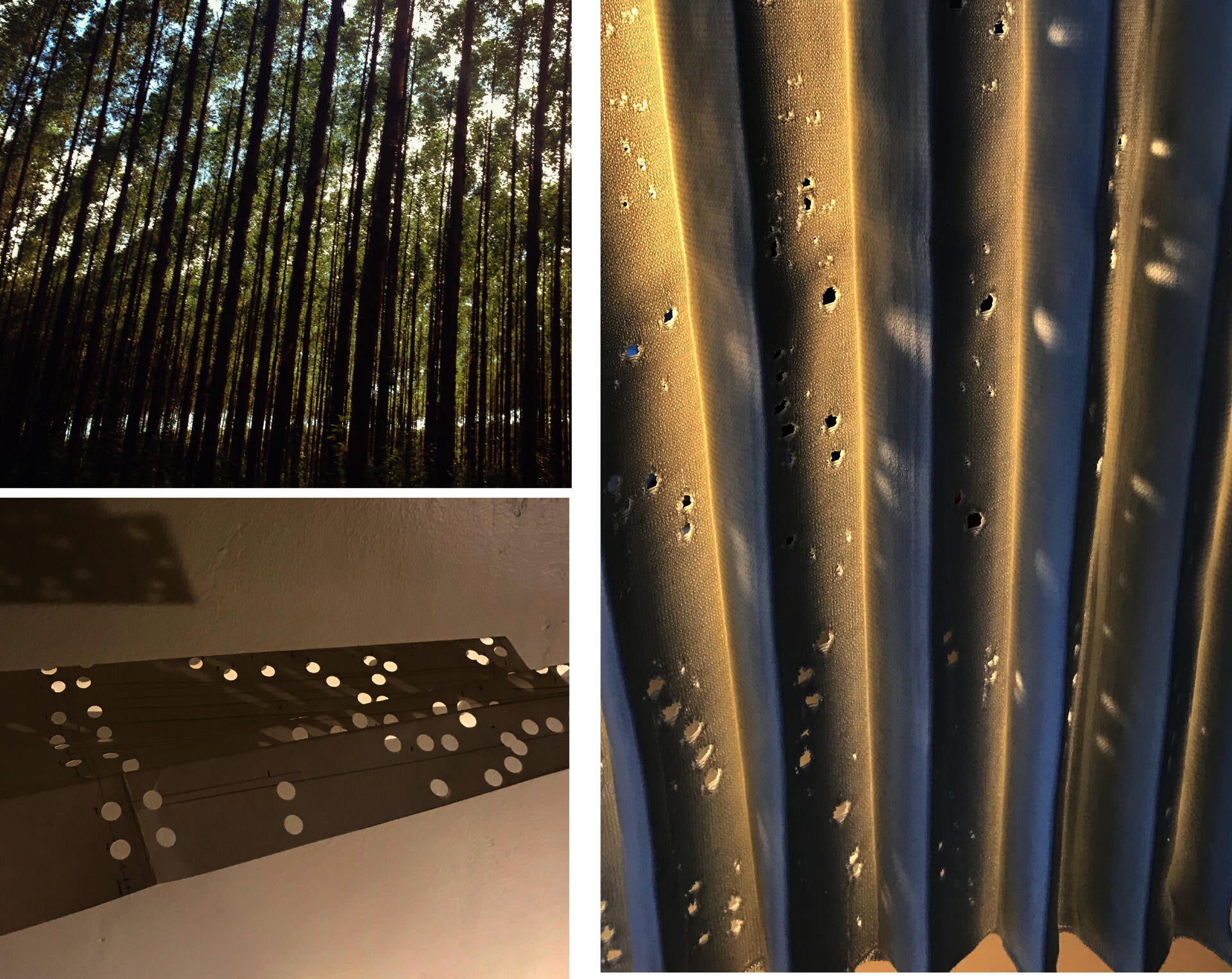 Photograph of a sun dappled forest, pleated paper mockup, and knitted fabric capturing a sun dappled effect.