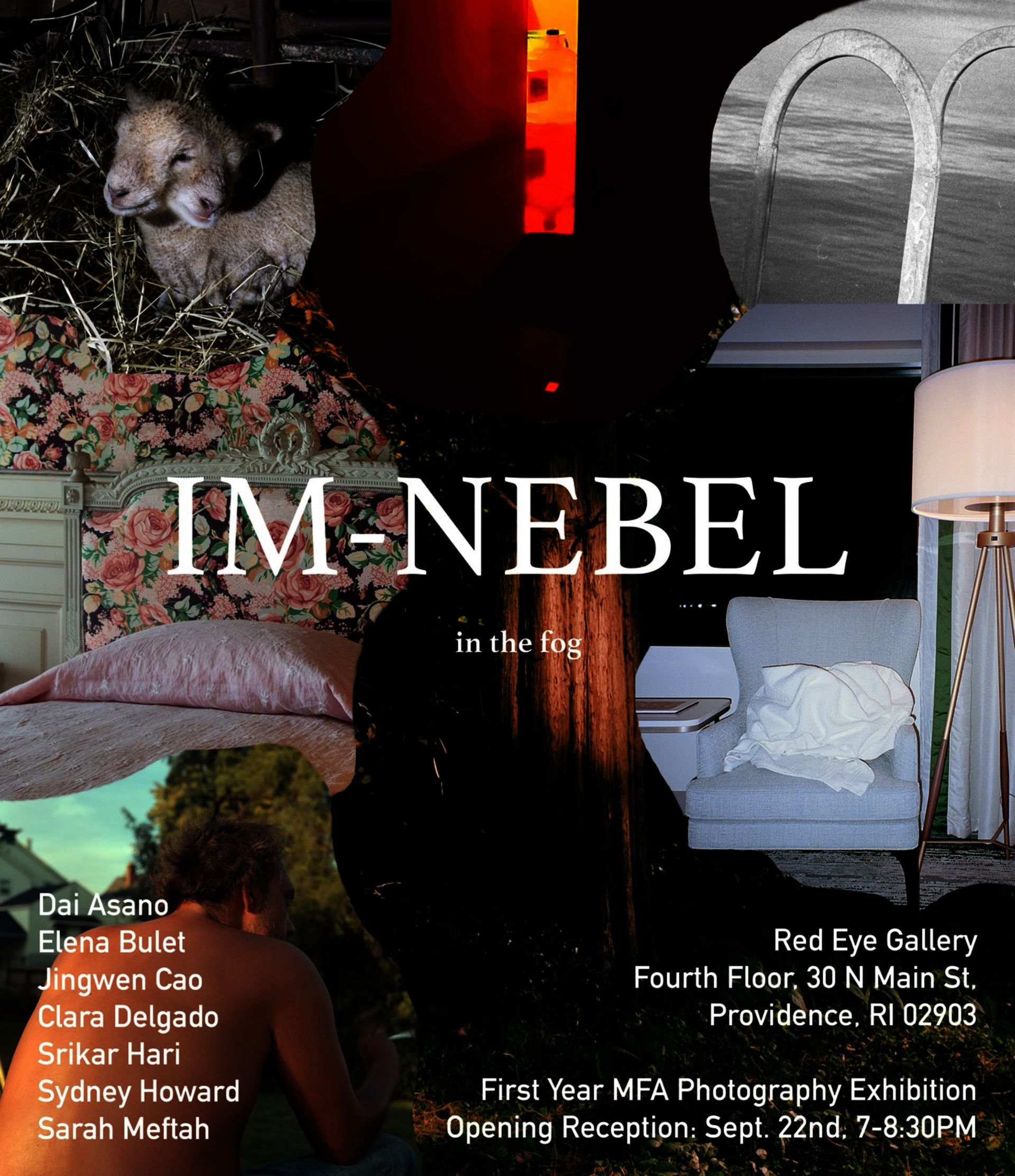 Poster with collaged photographs and the text Im Nebel (in the fog).