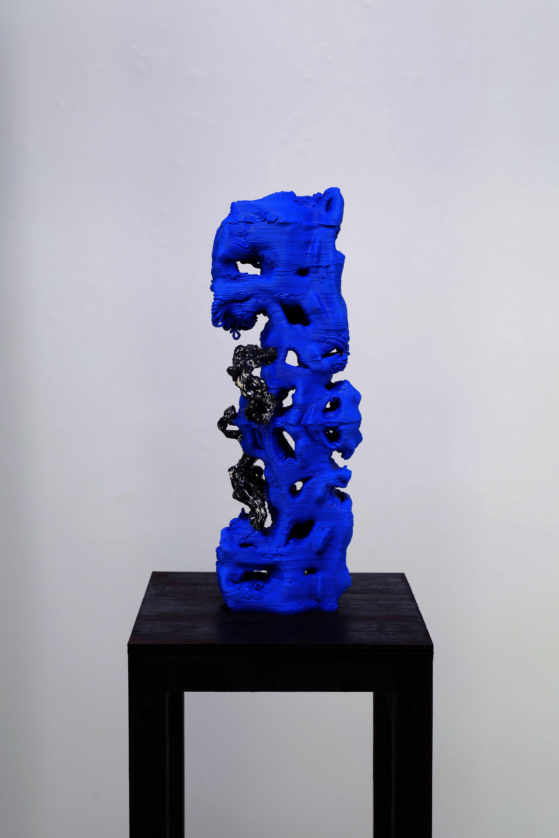 The interwoven relationship between human, nature and machine is complicated yet beautiful. I explored the symbiotic relationship between nature, human and technology through combining old and new ceramic making techniques.