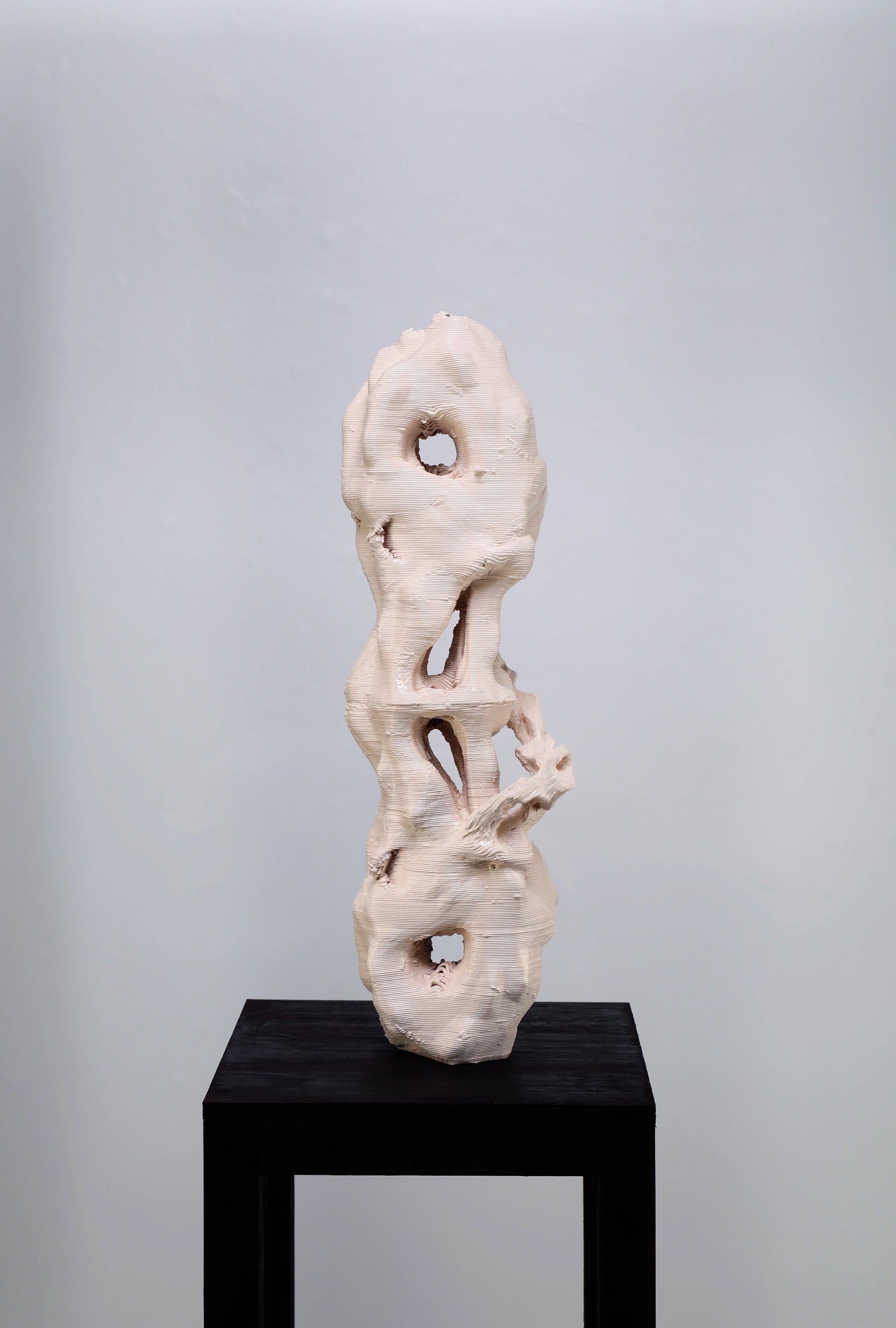 The interwoven relationship between human, nature and machine is complicated yet beautiful. I explored the symbiotic relationship between nature, human and technology through combining old and new ceramic making techniques.