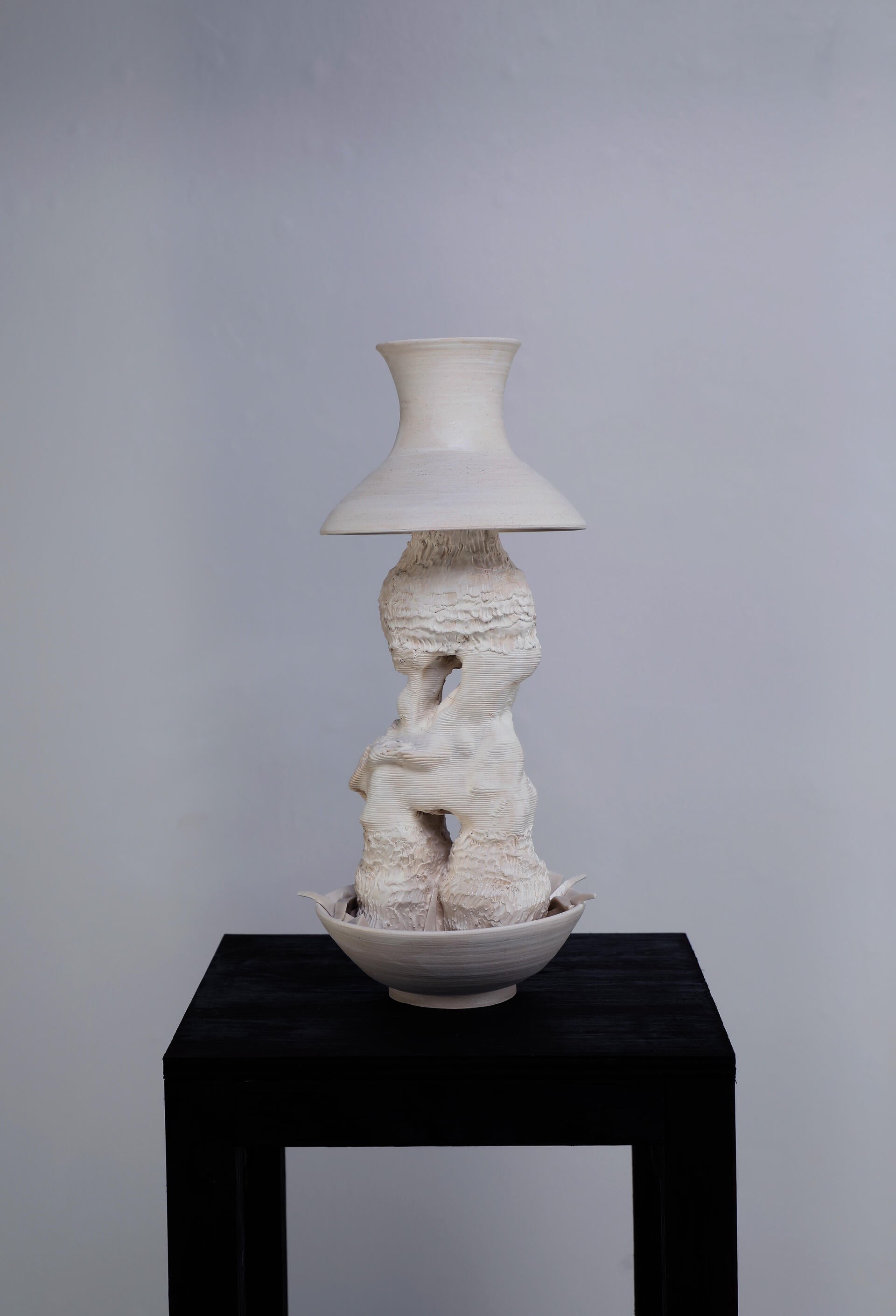 The interwoven relationship between human, nature and machine is complicated yet beautiful. I explored the symbiotic relationship between nature, human and technology through combining old and new ceramic making techniques.