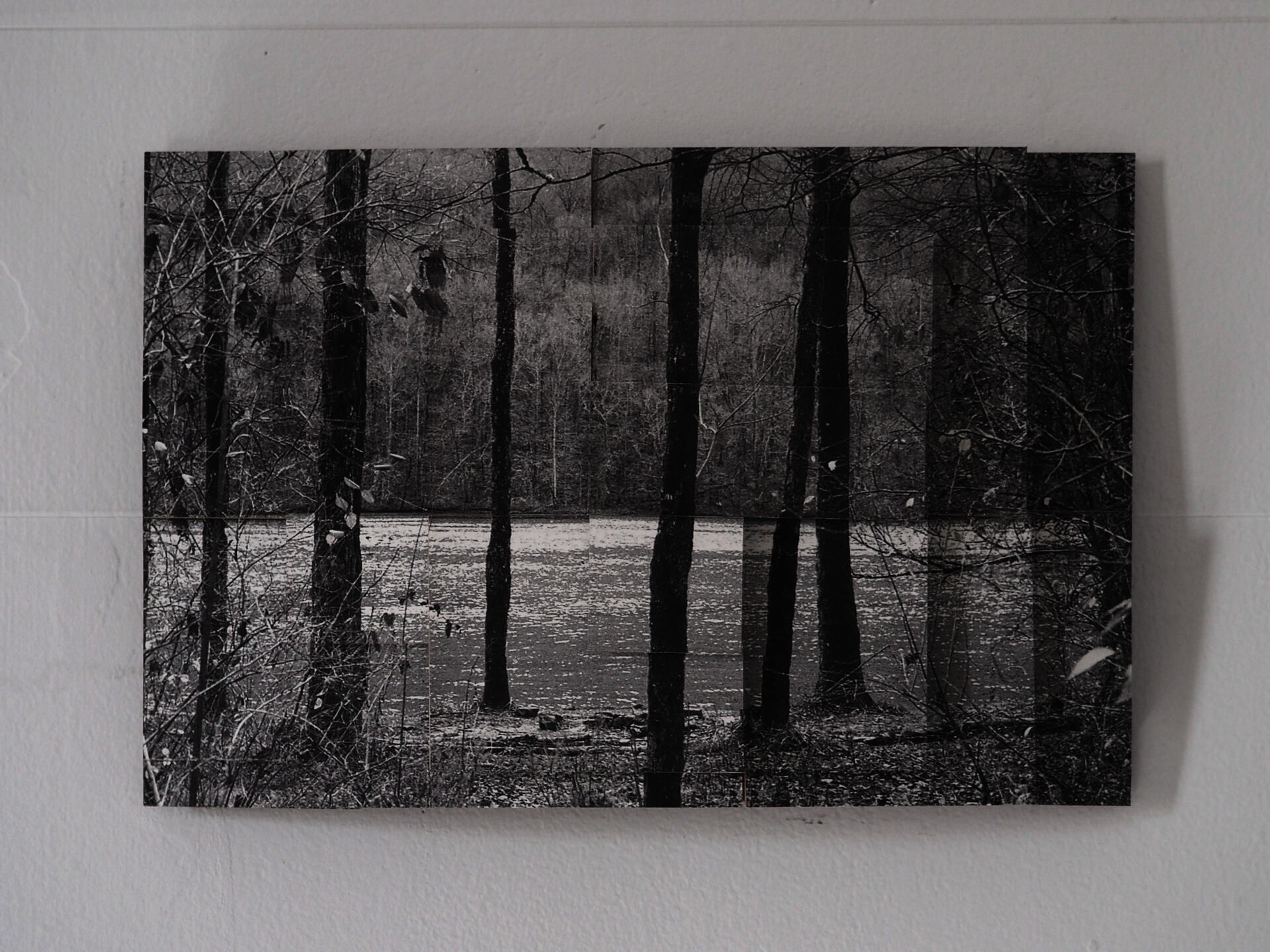 Trees without their leaves along a river and an underlying grid.