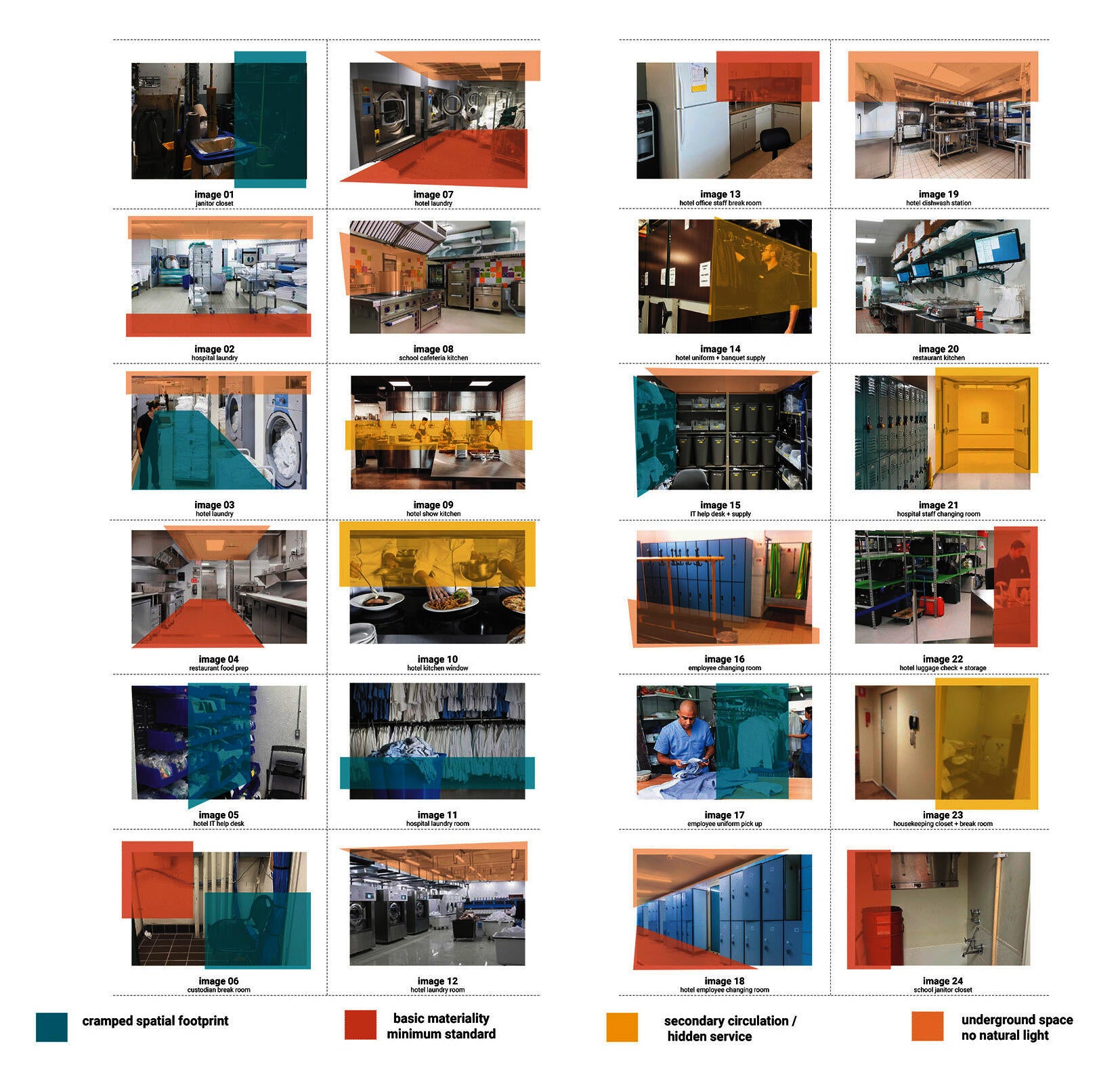 Figure 02: Residential Toronto Neighborhood Rewilded