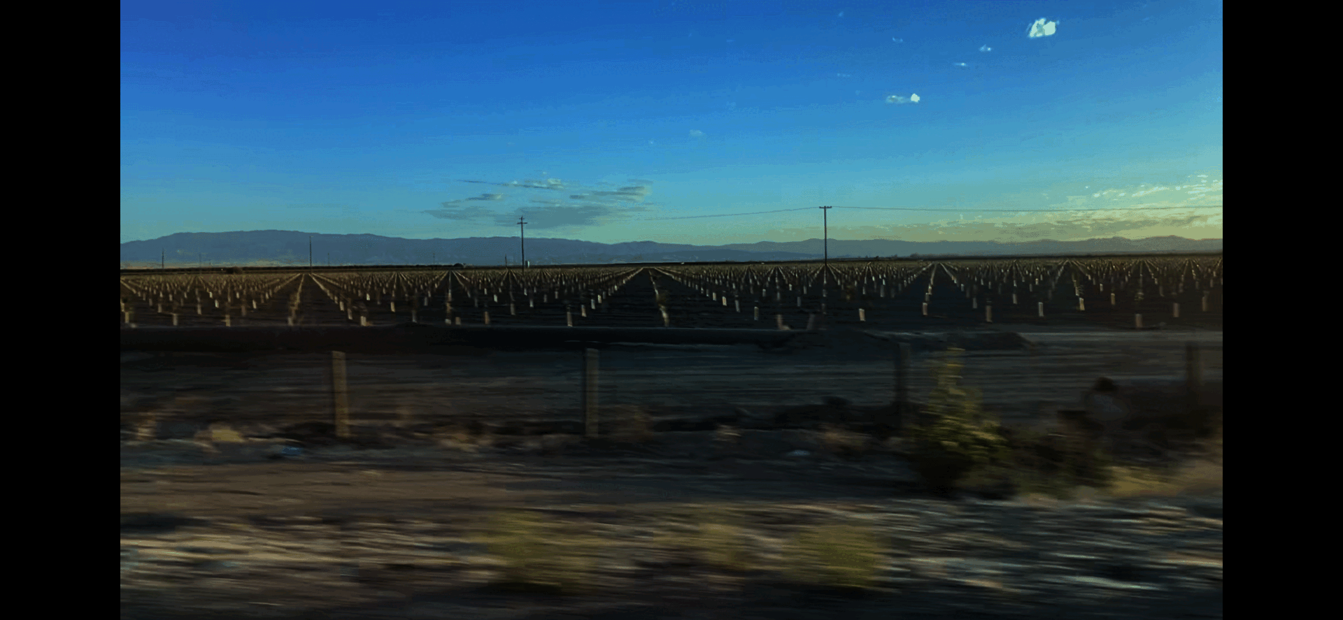 Moving Image of crop rows from the view of a passenger in a car.