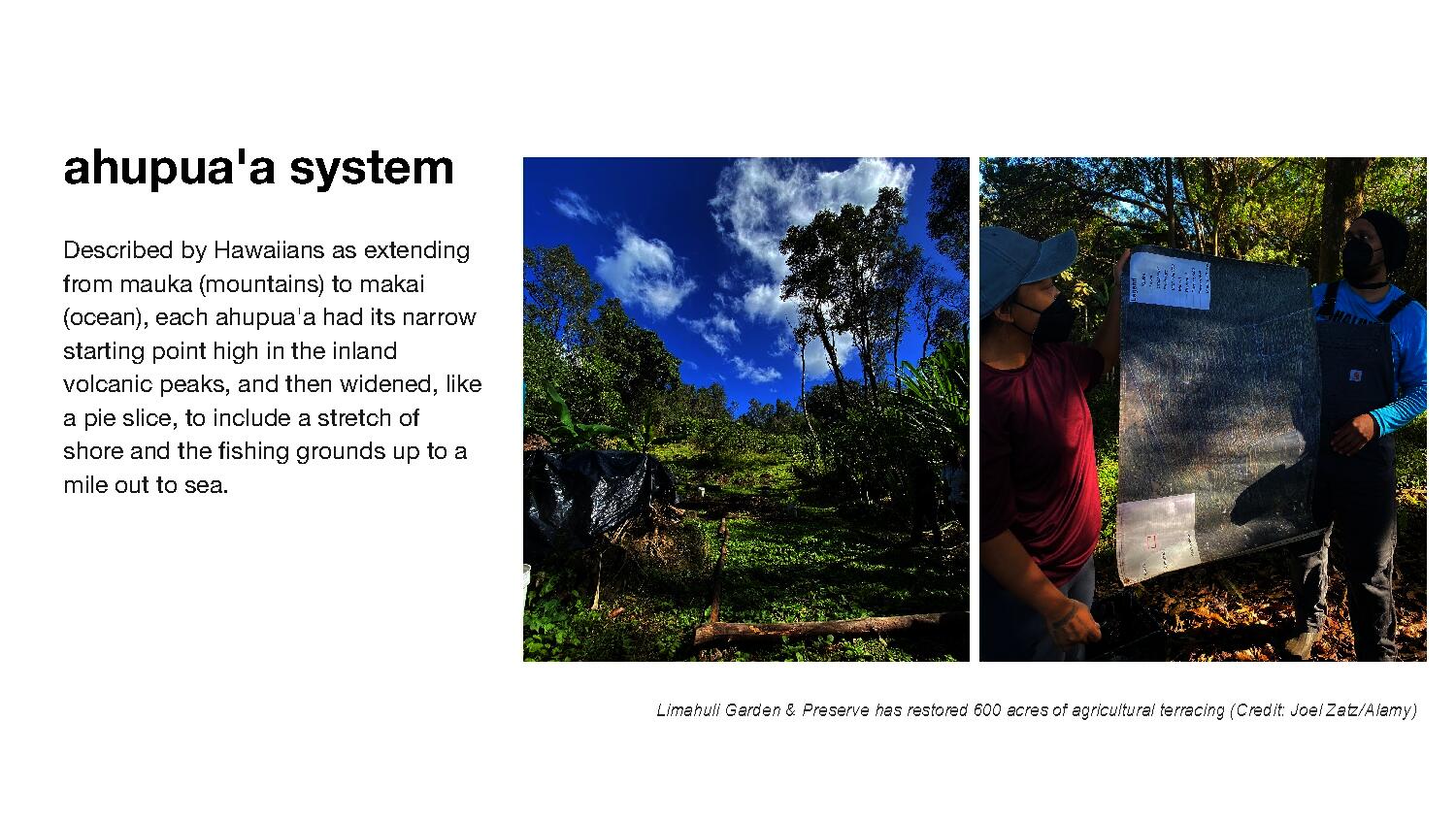Information on Ahuapua'a System accompanied by a 2 photographs, 1 of a present day restoration of an ahupua'a landscape along the hillside and one of 2 people holding a mapping of this system.