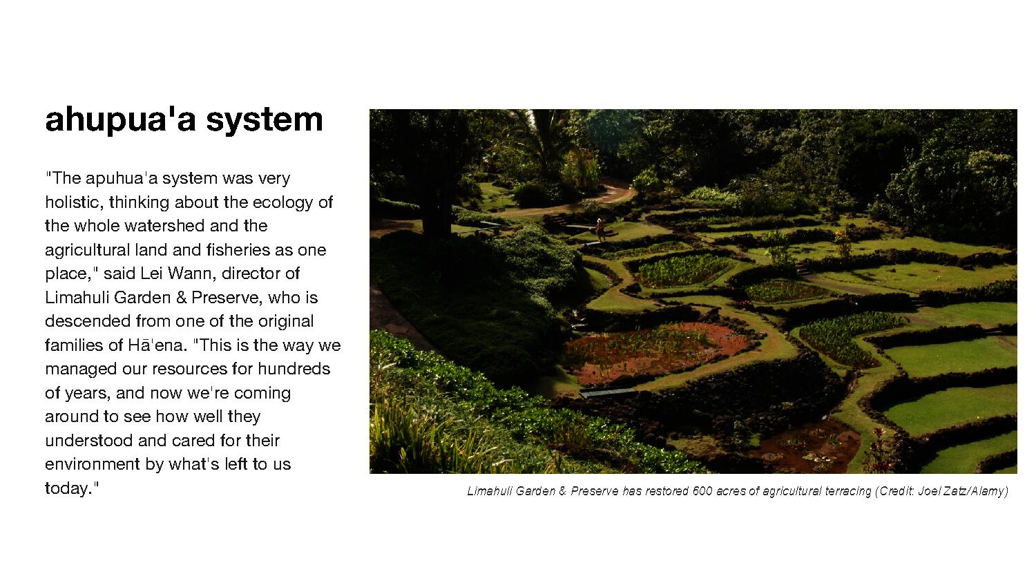 Text of Ahupua'a system accompanied by an image of terracing agricultural lands.