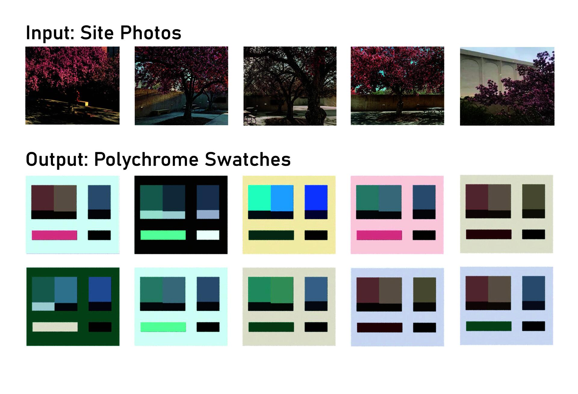 Five photos of flowering pink trees in the concrete sculpture garden next to the Sheldon Art Museum and 10 combinations of color swatches that coordinate or contrast with the input photos.