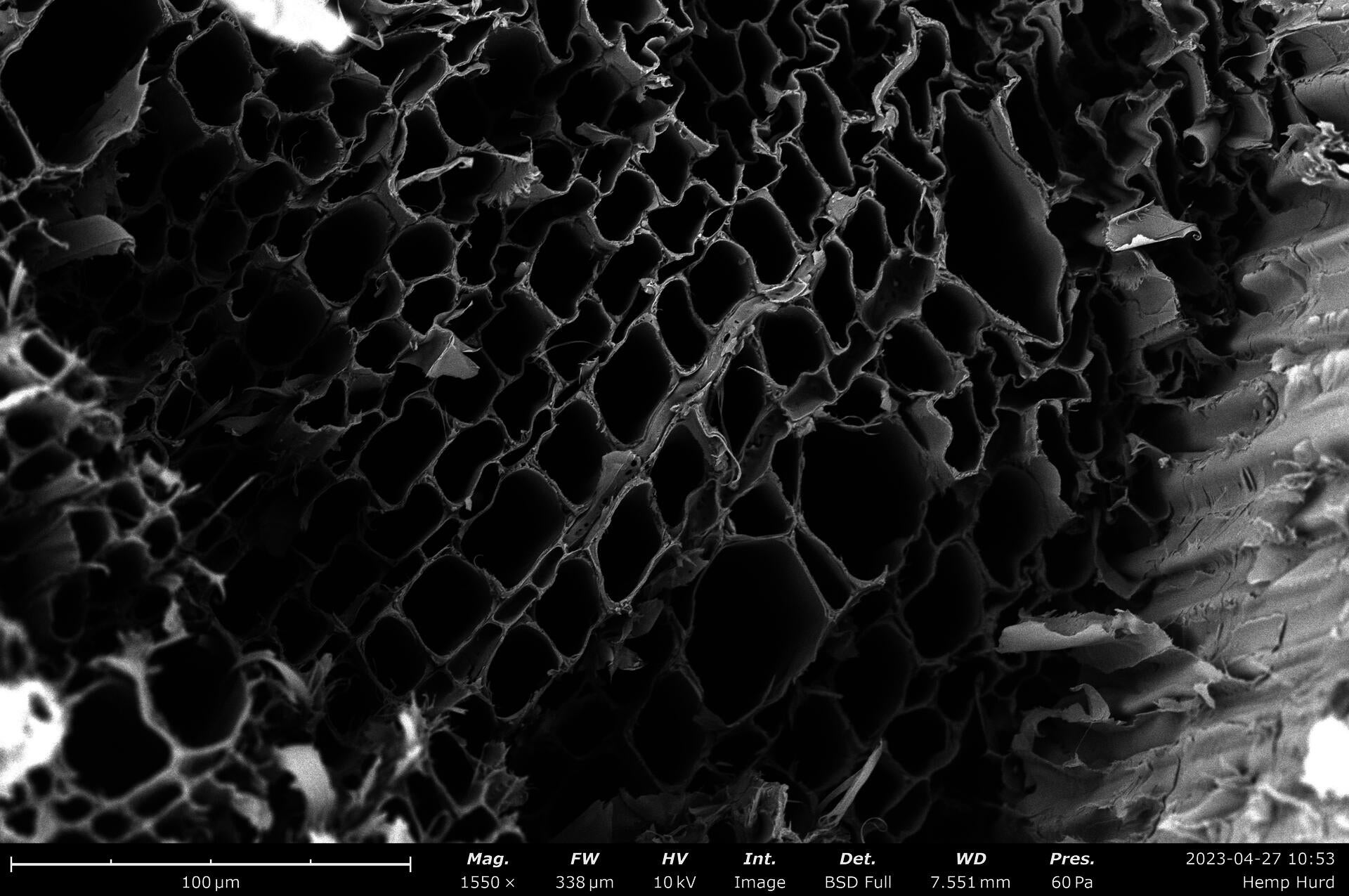 Microstructure of Hemp hurd from which I drew the inspiration for the building block/module.