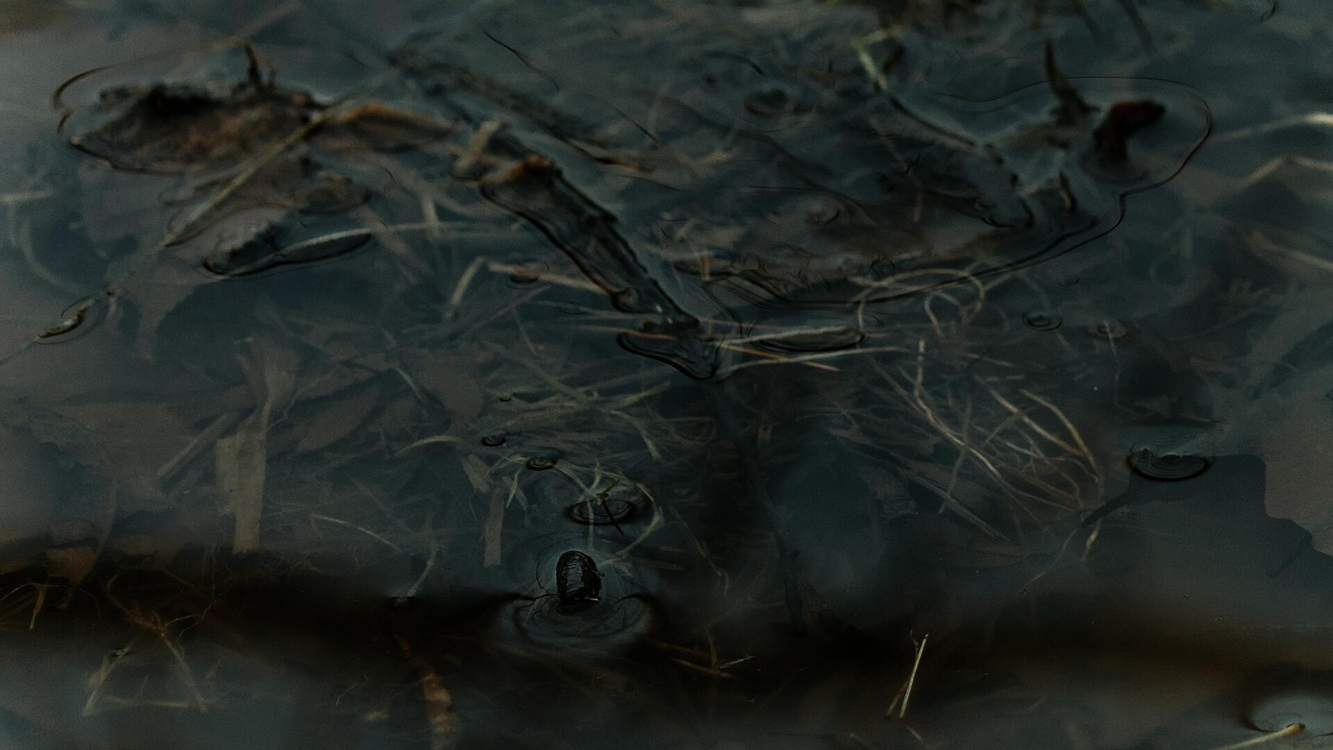 Ice gradually melting in water.